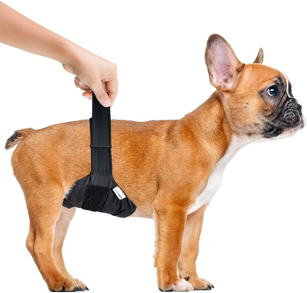 Vet'S Best Washable Male Dog Diapers | Absorbent Wraps with Leak Protection | for Excitable Urination, Incontinence, or Marking | Small/Medium | 1 Reusable Diaper per Pack