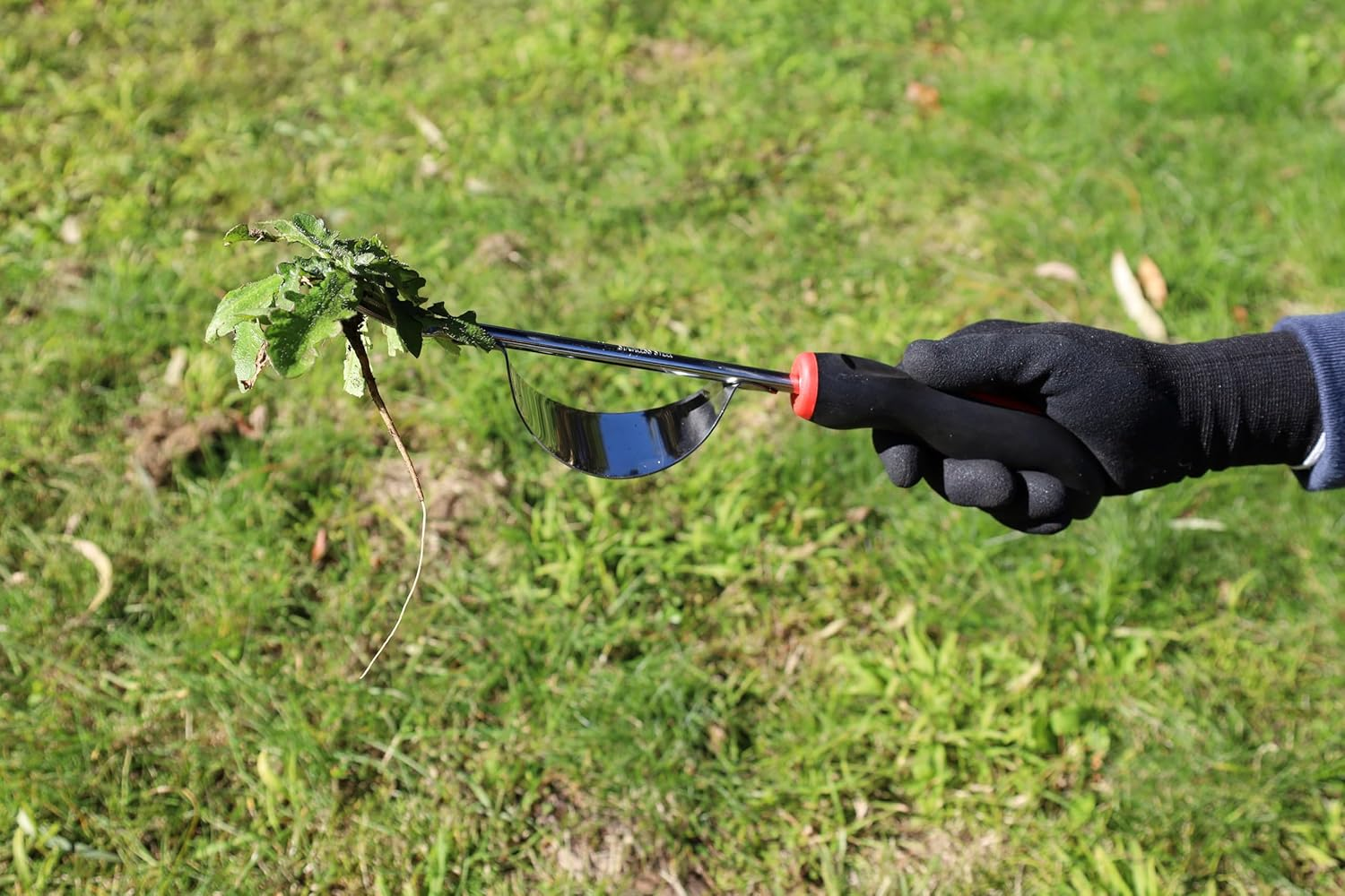 Darlac Daisy Grubber Weeder Garden Weeding Tool Stainless Steel image number 4