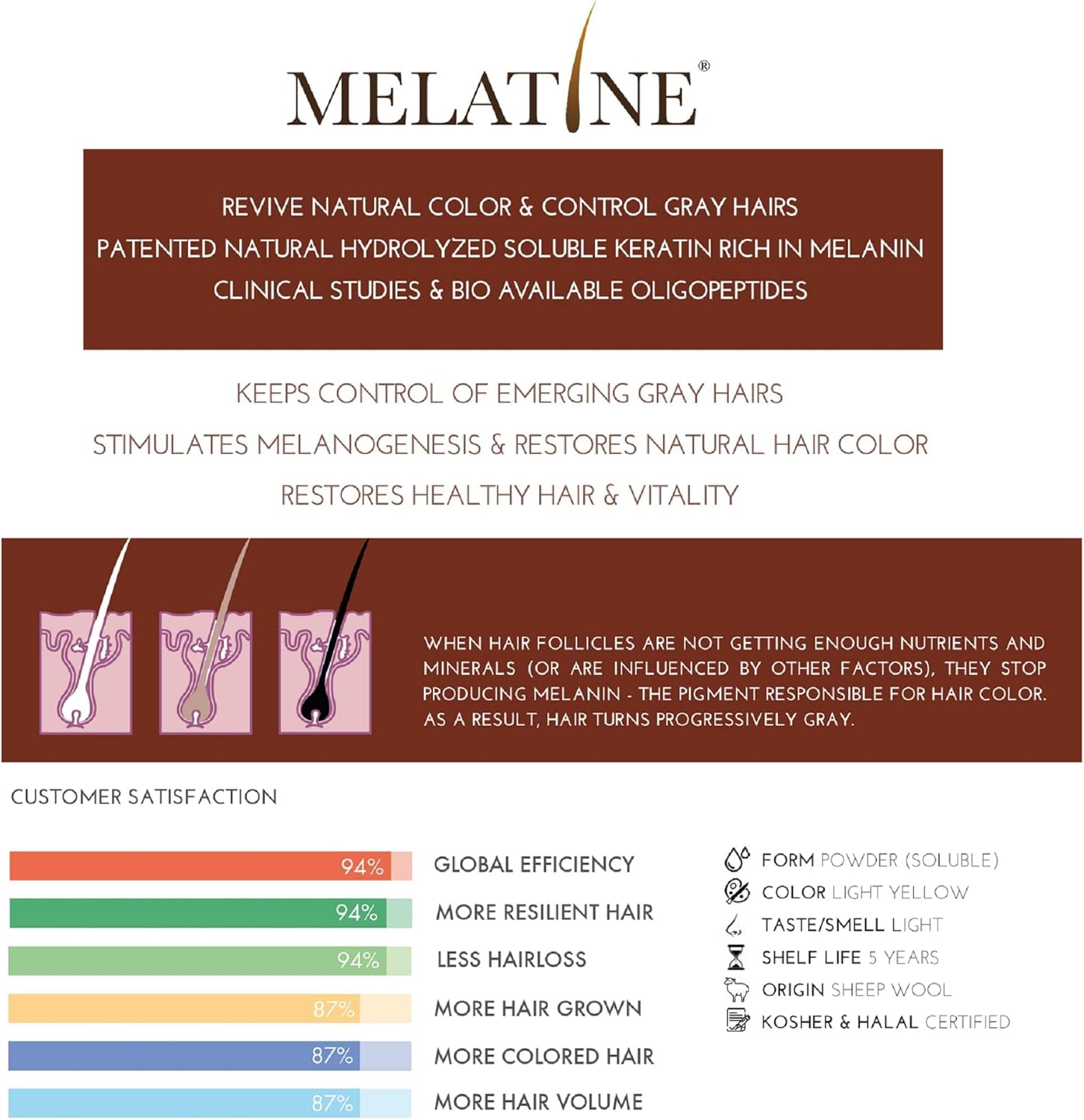 REGENSIFY Hair Melanin Booster Nutrition [Anti Grey Hair Supplement for Men & Women | Melatine&reg;, Catalase, PABA, L-Tyrosine, He Shou Wu, Chlorella Extract, Coq10, Folic Acid, Pantothenic Acid] image number 1