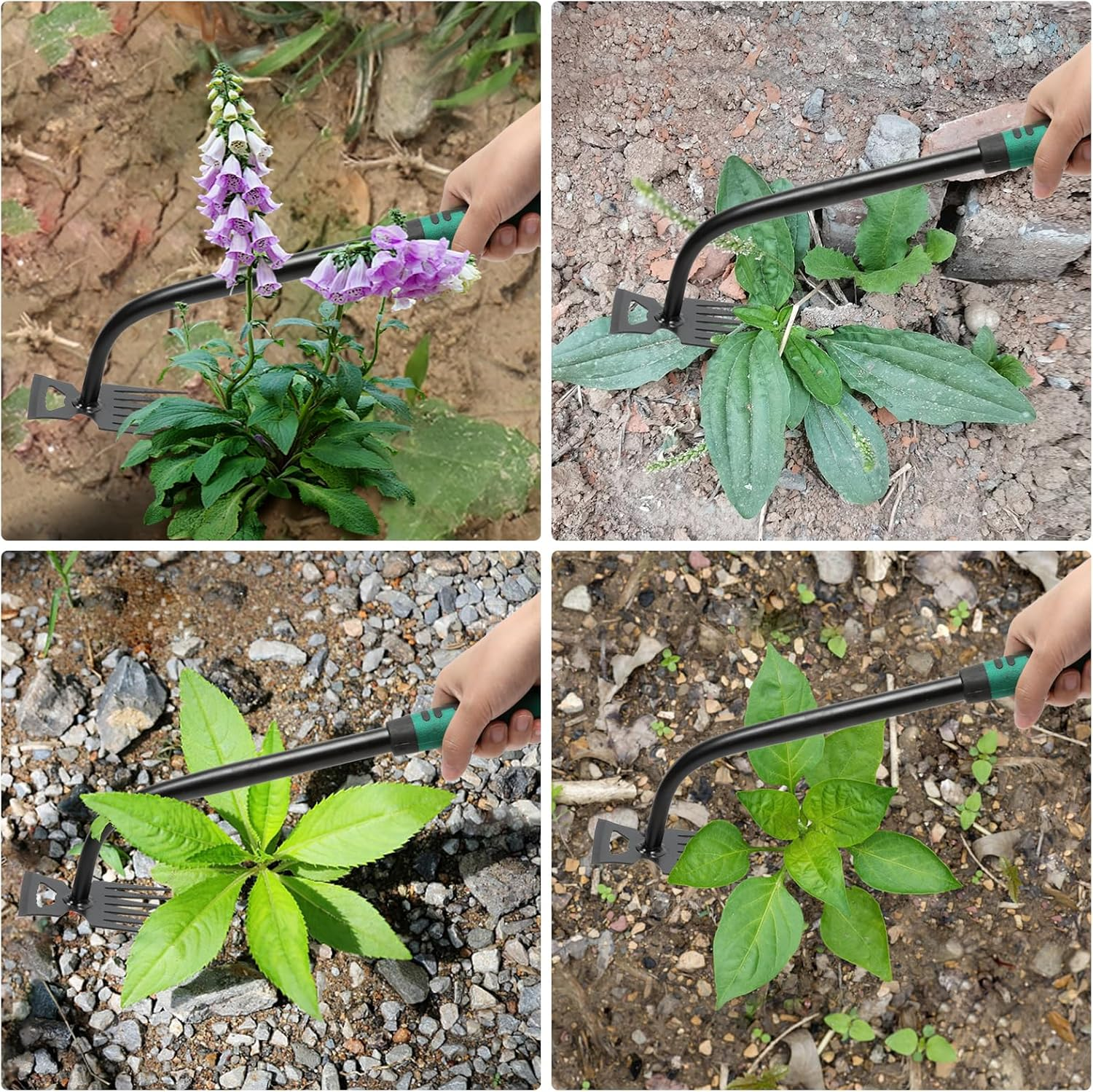 Gardening Hand Weeder Tools, 6 Teeth Uprooting Weeding Tool Multifunctional Manual Hand Weeder for Lawn Garden, Crack Weeder Crevice Weeding Tool, 3 PCS image number 3