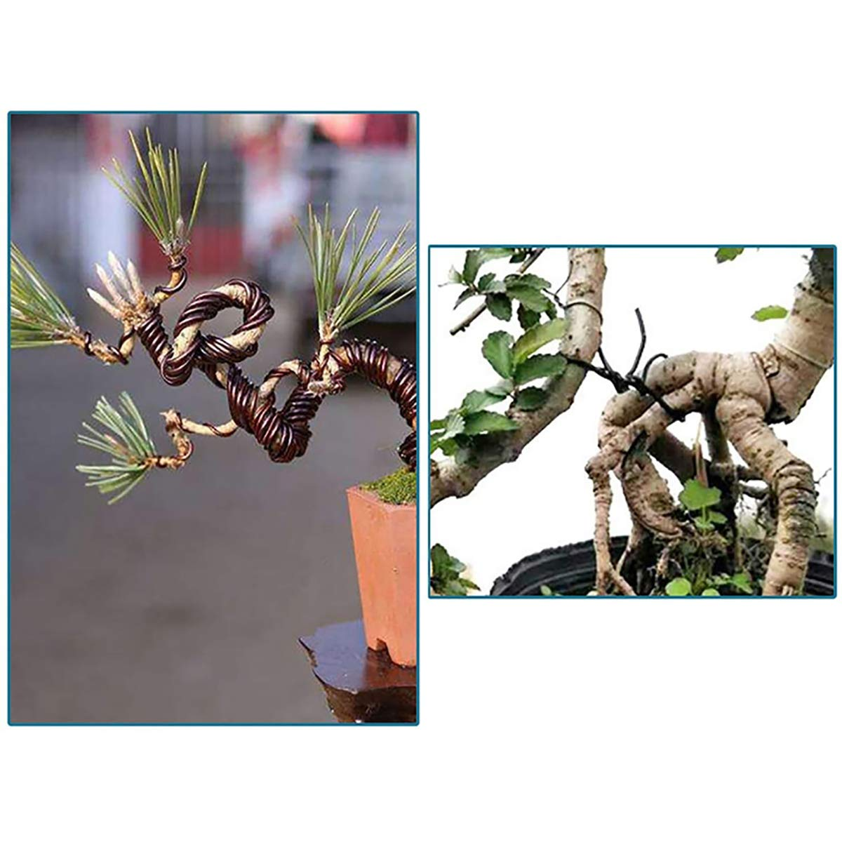 Sagasave Bonsai Wire Set with Flower Pot Hole Mesh Pad, Copper Bonsai Training Wire for Bonsai Tree Kit 20 Plastic Mesh Mat Bronze image number 5