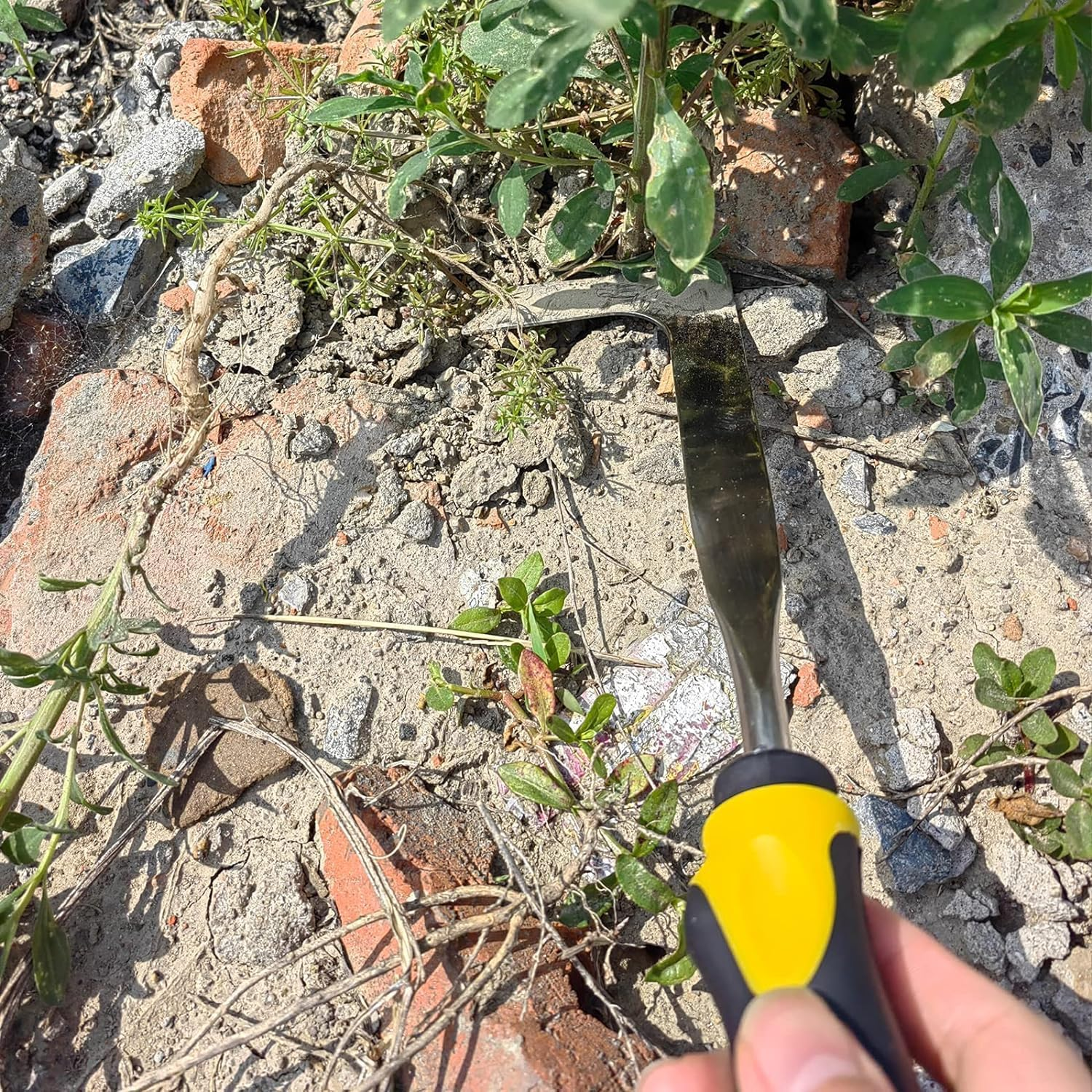 Crack Weeder, Paver Weed Removal Tool, Crevice Weeding Tool for Sidewalk, Driveway and Garden image number 3