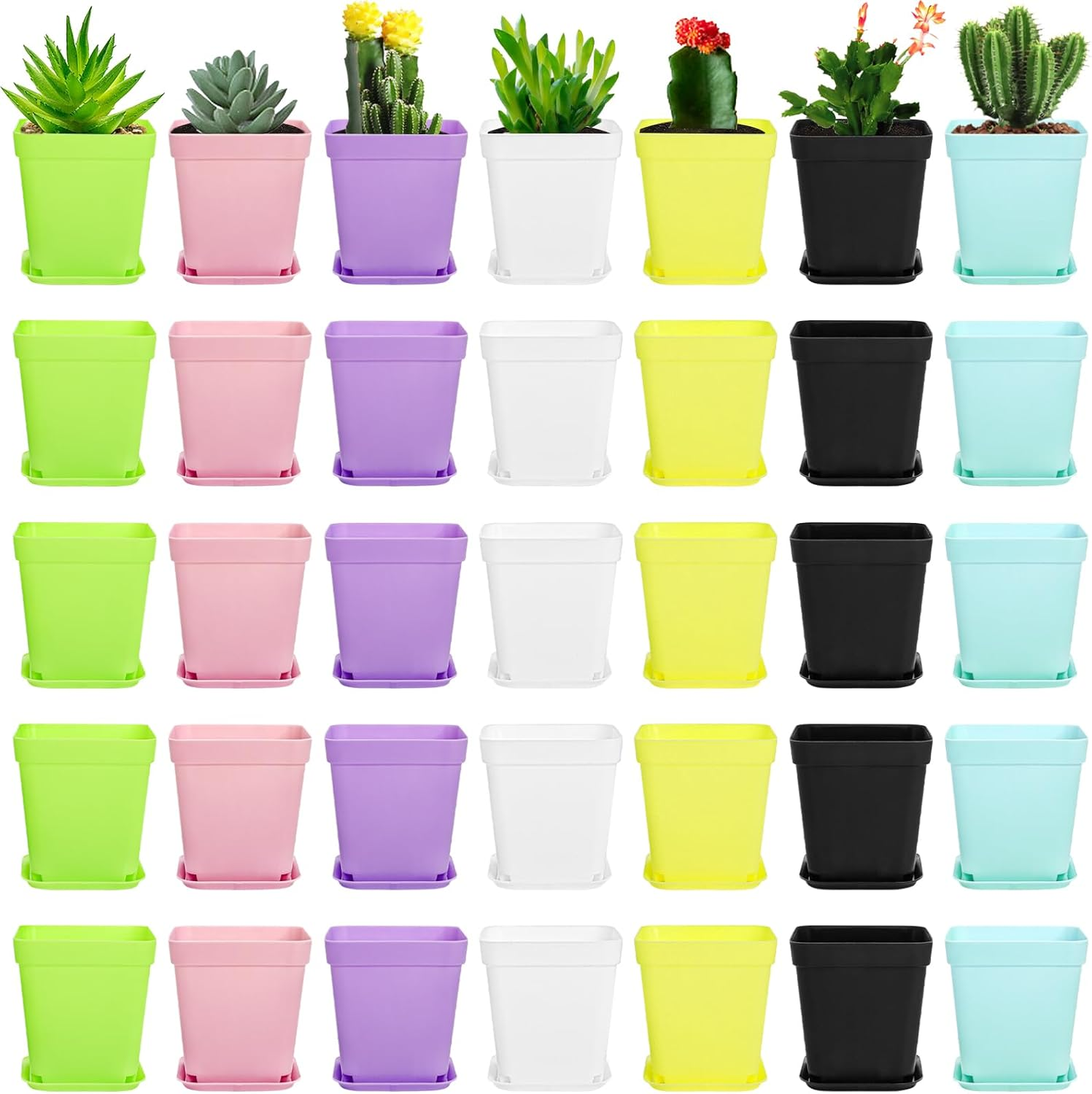 Hedume 70 Pack Mini Plastic Flower Seedling Nursery Pot with Pallet, 3" Colorful Square Plant Pot, Indoor Outdoor Flower Plant Container, Decor for Room, Garden, Office and Balcony (7 Colors) image number 4