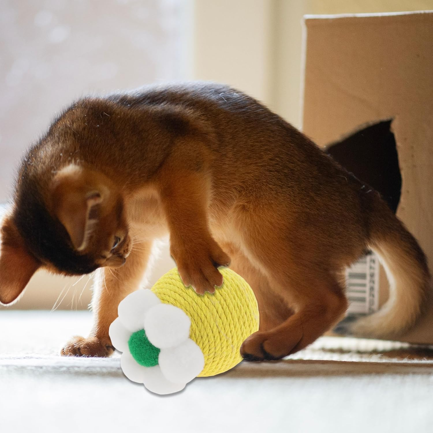 CAPASTEC Cat Playing Ball Interactive Cat Balls Indoor Yellow image number 3