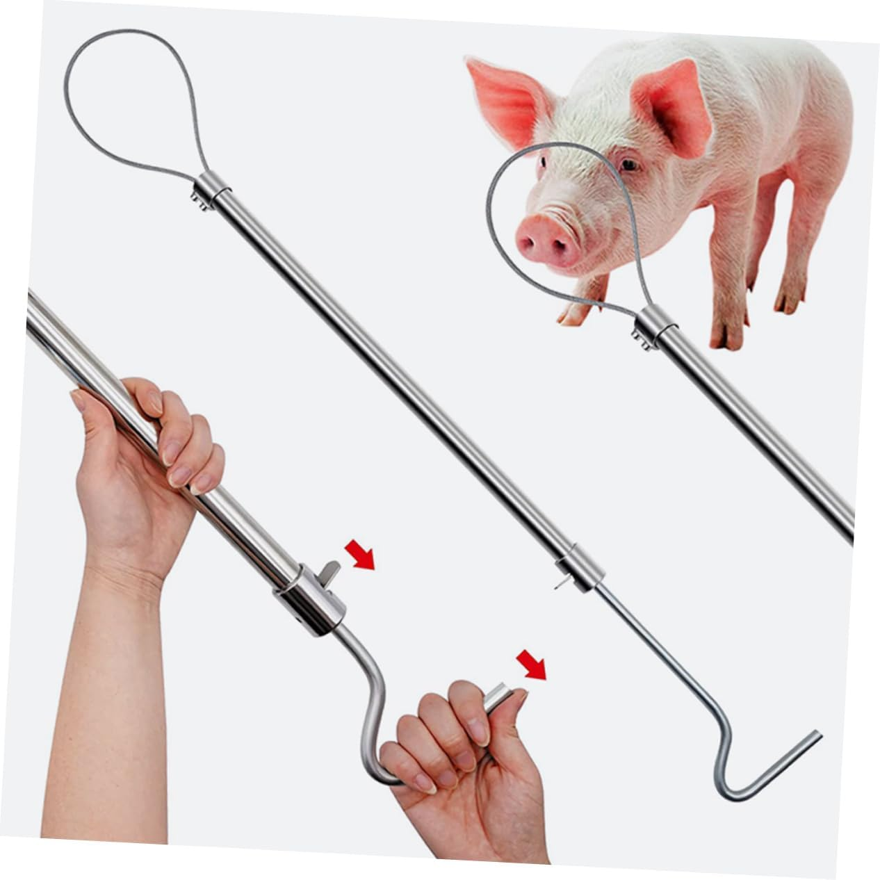 Balacoo Professional Stainless Steel Pig Catcher Pole Portable Farm Catch Supply Ergonomic Lightweight Pig Holder Tool for Safe Animal Handling image number 4