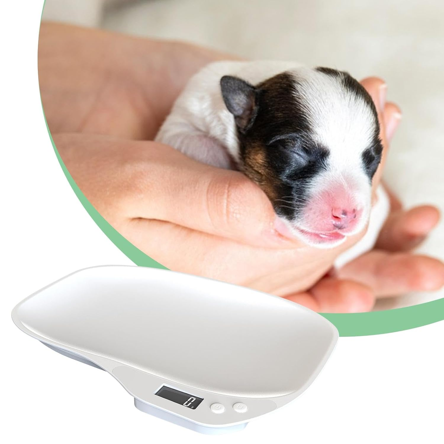 Digital Pet Scale - Accurate Weight Scale Small Animal LCD Scale | Electronic Scale with Height Tray for Puppy Cat Hedgehog Hamster Home Pet Shelter