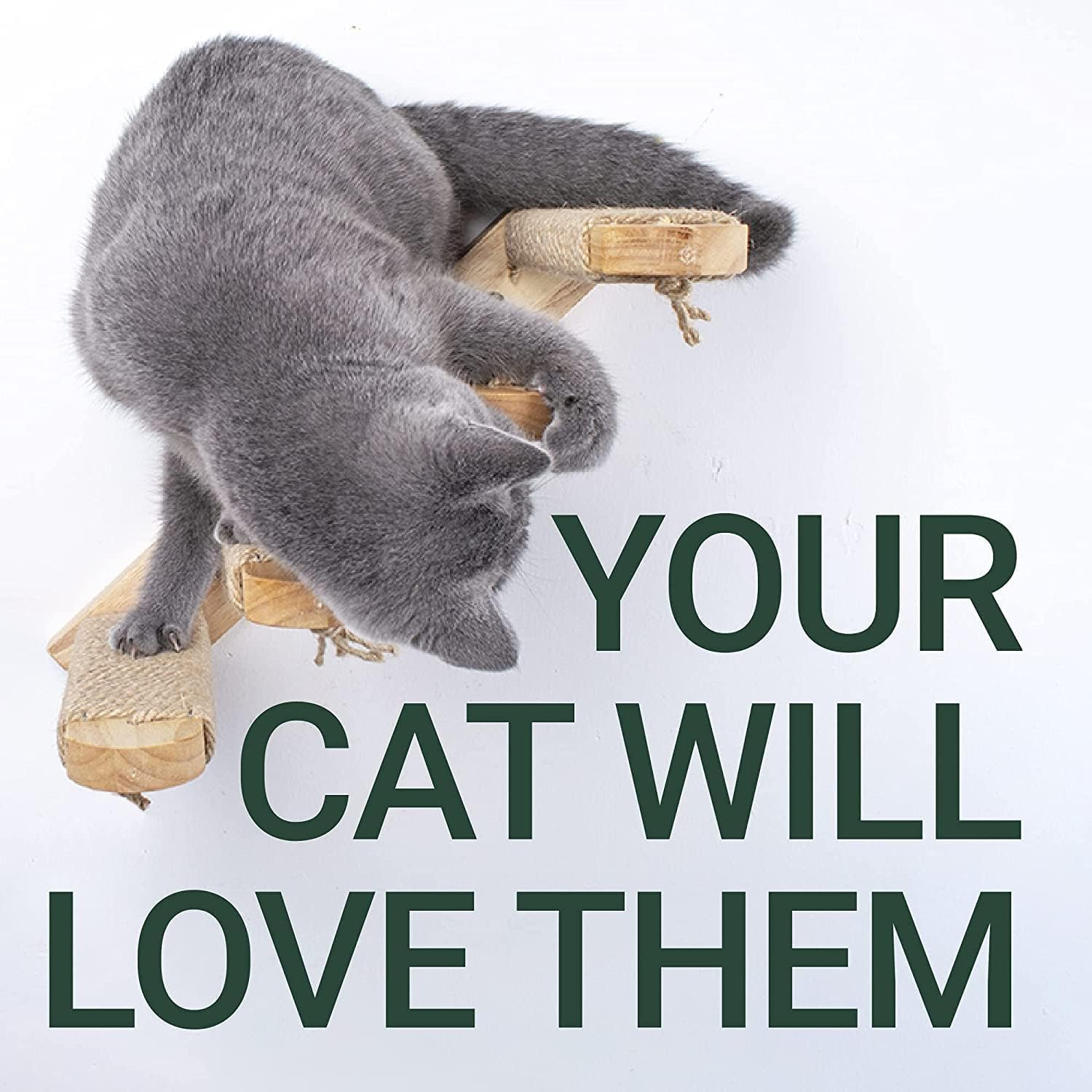 Cozioz Wall-Mounted Cat Steps - Solid Rubber Wood Shelves for Climbing and Scratching, Easy Installation for Playful Cats (Wood Finish) image number 2