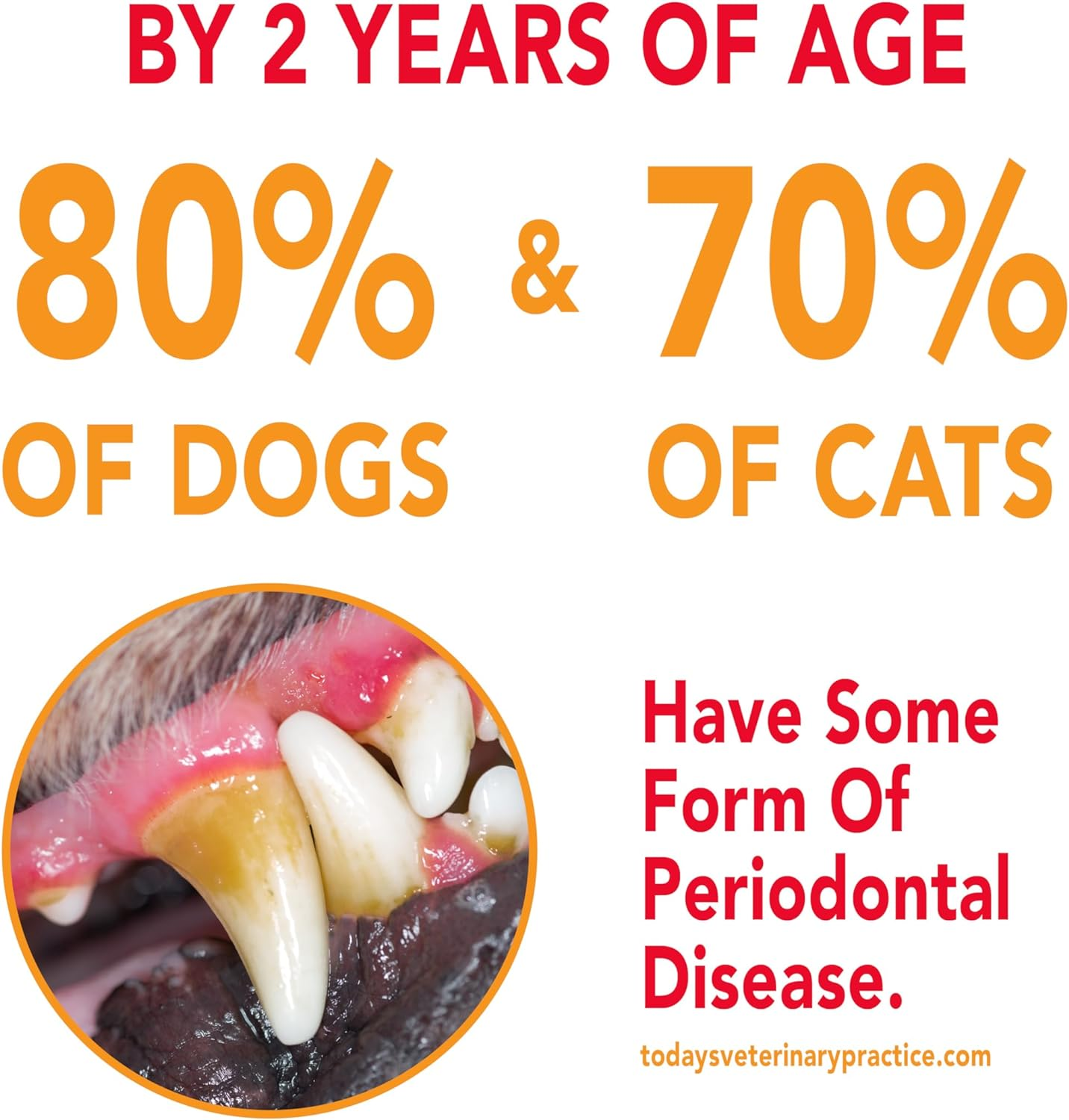 Petrodex Enzymatic Toothpaste for Dogs, Pet Dental Care, Poultry Flavor, 2.5 Oz image number 4