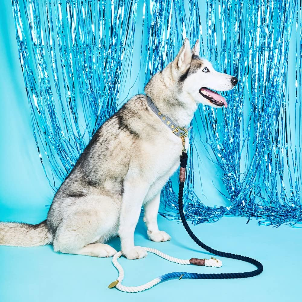 Found My Animal - Teal Ombre Cotton Rope Dog Leash, (Medium) - Heavy Duty Dog Training Leash - Adjustable Solid Brass Lockable Carabineers - Handcrafted Braided Dog Leash Rope - Made in USA image number 4