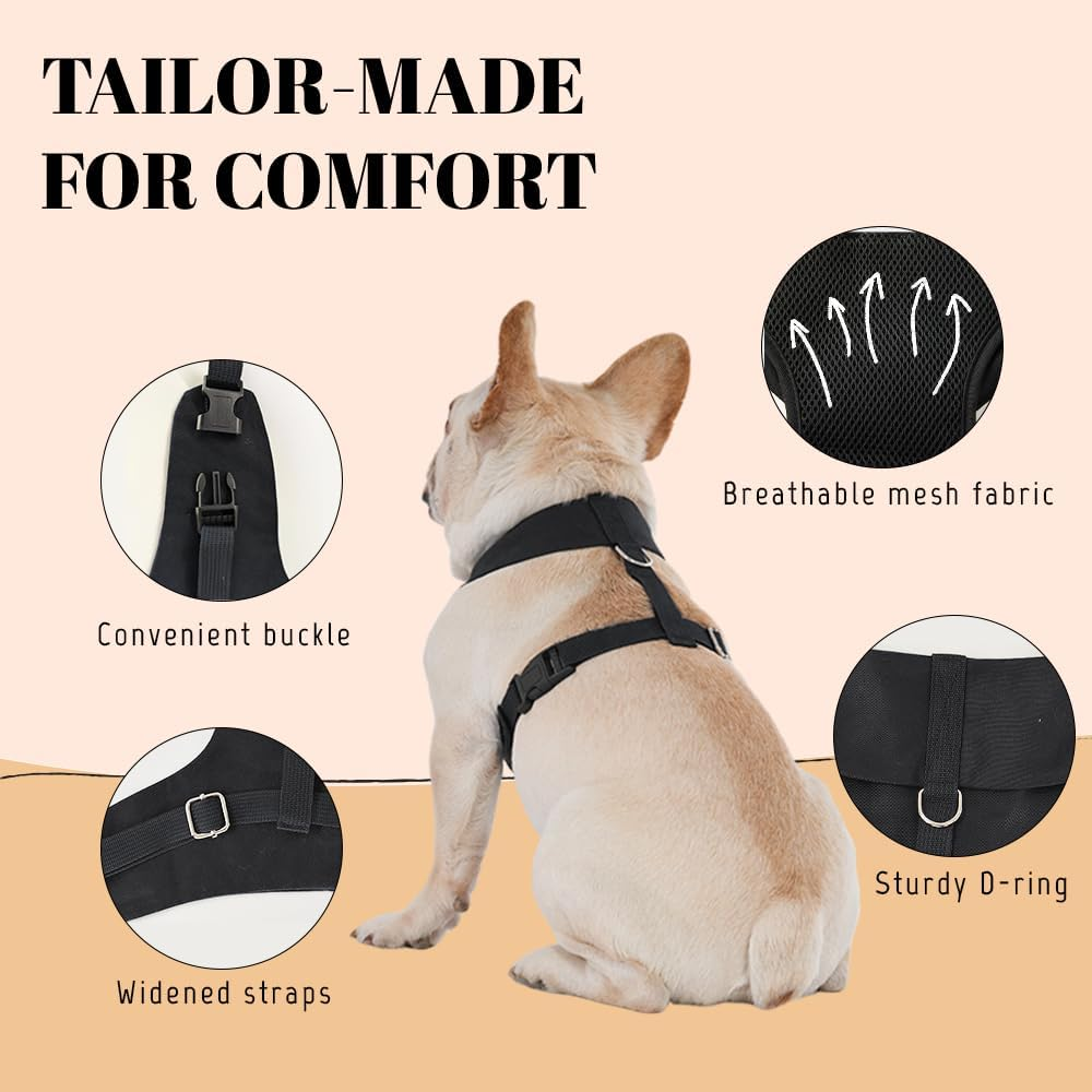 AVERYDAY XS Pet Tuxedo Harness, Wedding Costume Outfit for Small Dogs, Slim Cats and Tiny Pets with 8.3" Neck, 13-14.6" Chest, 10" Max Head Girth, Formal Suit Costume for Mini Breeds