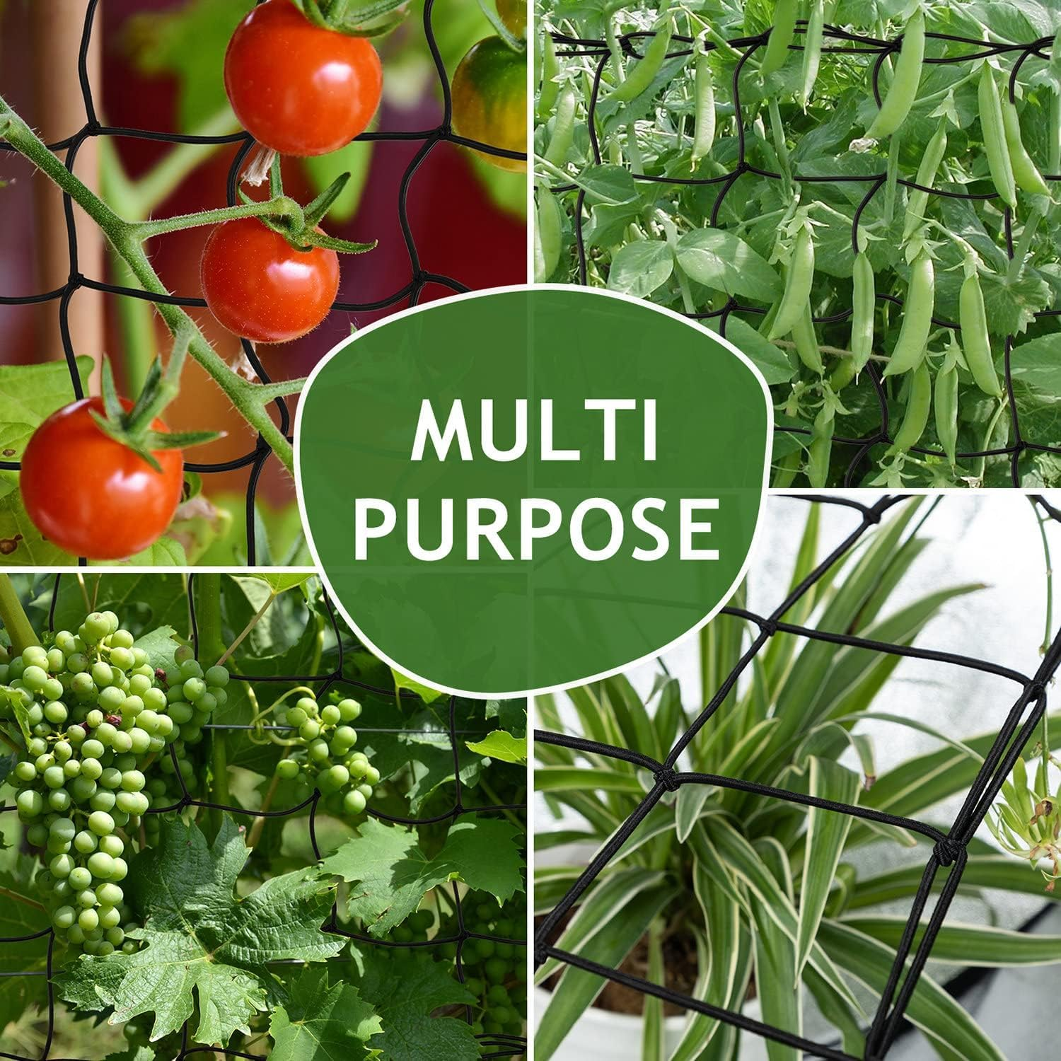 3 Pack Grow Tent Trellis Netting 2X4', Heavy Duty Elastic Plant Net with Steel Hooks, Flexible Hydroponics Scrog Support for Grow Tents, Gardening, and Horticulture