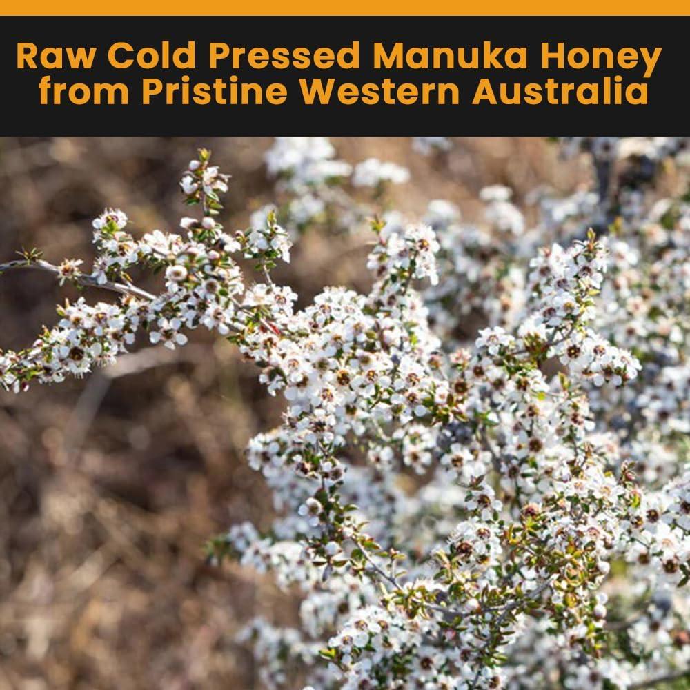 Australian Monofloral Manuka Honey Medical Grade - MGO 400+ | Raw Honey in Glass Jar | Pure Honey - Lab Verified Pesticide & Antibiotic Free | Batch Traceable | Manuka Honey 500G by Honey for Life