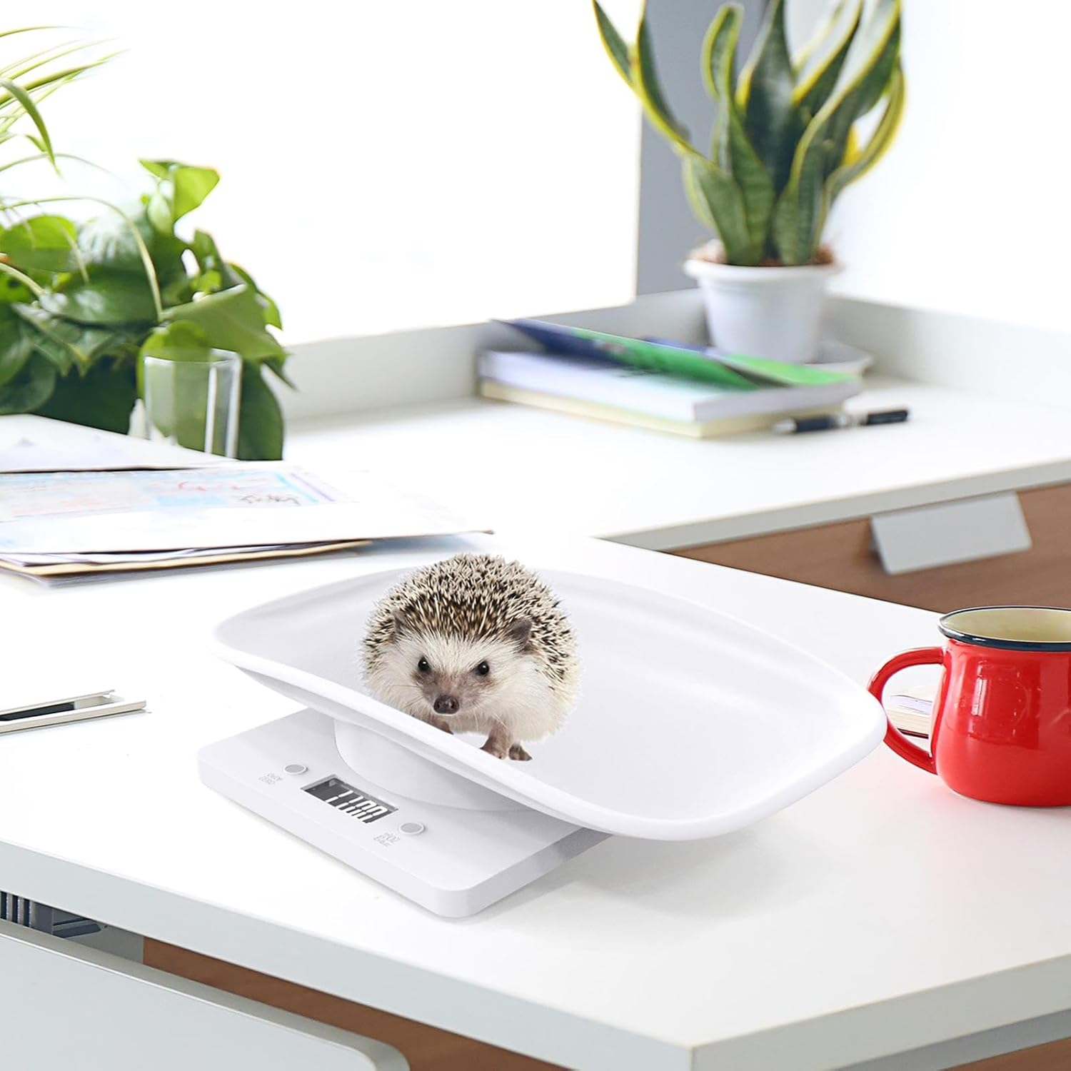 Digital Pet Scale - Backlit Pet Small Animal Weight Scale LCD - Home and Pet Shelter Accurate Measurement Weight Scale for Hedgehog, Hamster image number 6