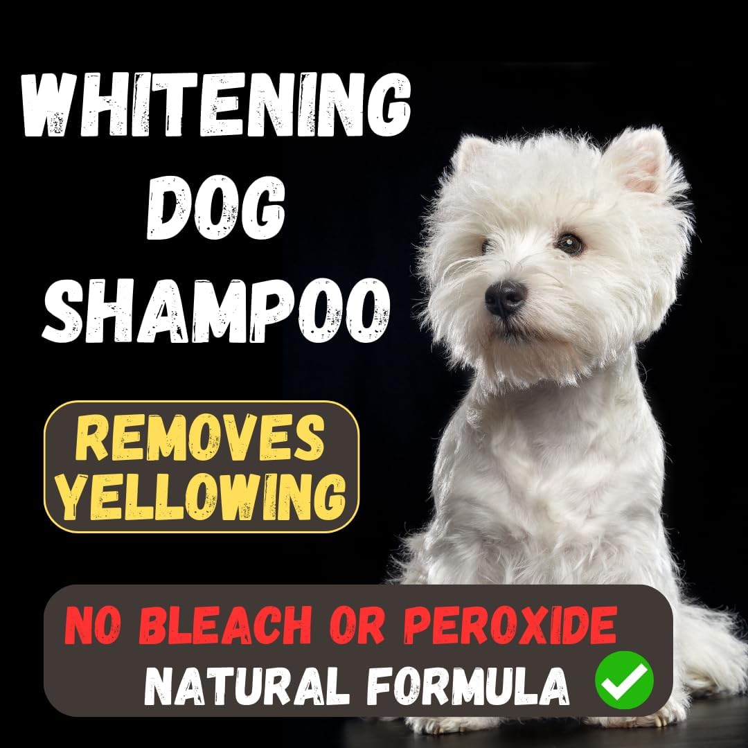 KELEBS Sensitive Dog Shampoo | Grooming Dog | Dog Shampoo Puppies | Soothing Natural Dog Shampoo Soap Pieces | with Lavender Oil & Oatmeal | Vegan | Pack of 3 (Charcoal) image number 5