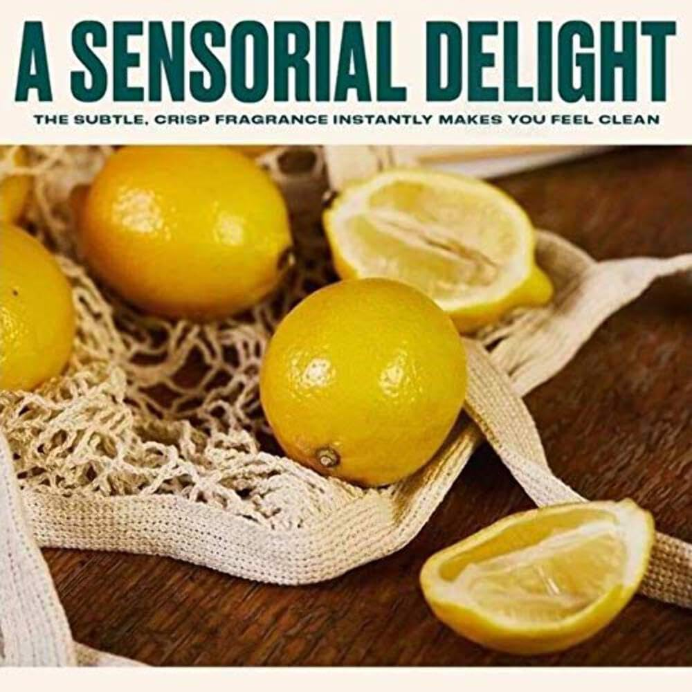 THE BODY SHOP Lemon Purifying Hand Wash INTENSELY CLEANSING HAND WASH PURIFY and PROTECT SKIN image number 5