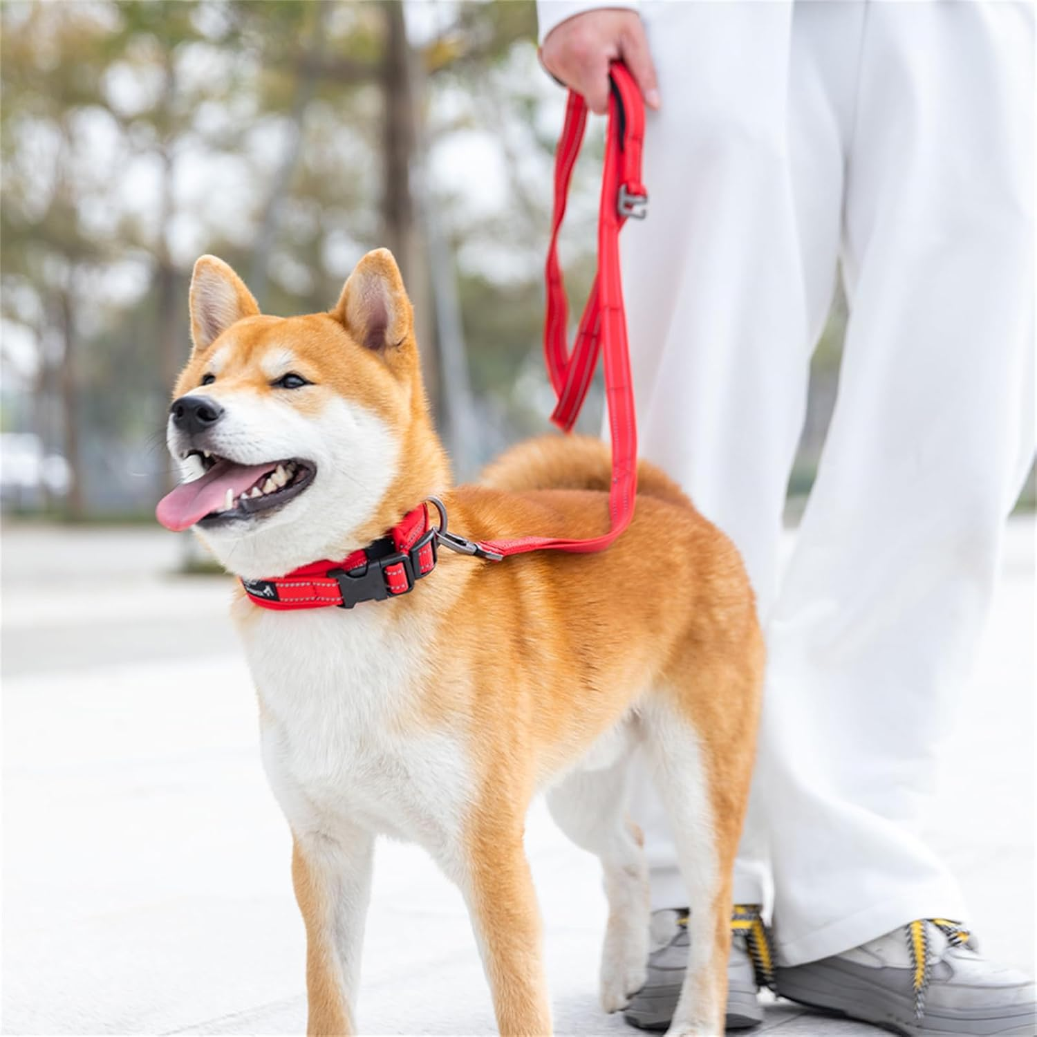 EXCELLENT ELITE SPANKER Reflective Nylon Dog Collar with Breathable Soft Padded Adjustable Thick Pet Collars for Small Medium Large Dogs Walking Training(Red-L) image number 4