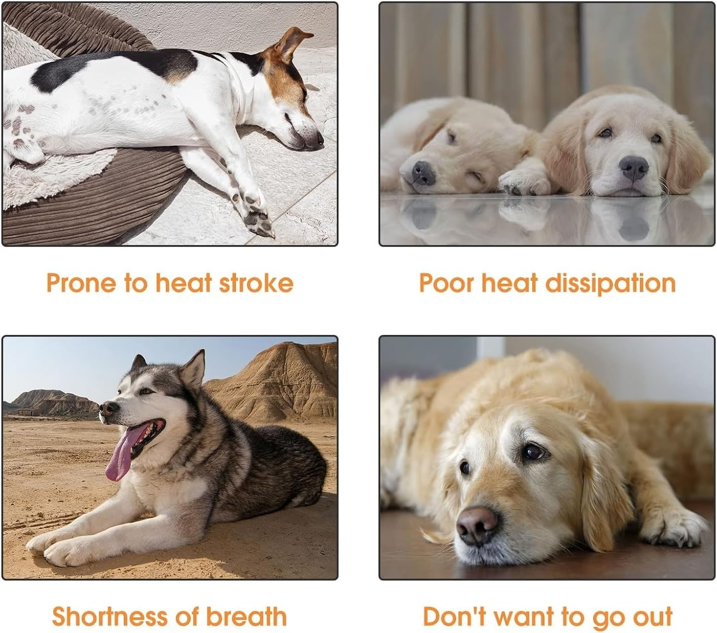 Cooling Vest for Dogs,Dog Cooling Jacket,Pet Cooling Vest,Breathable Mesh Ice Vest Adjustable Straps Cool Vest for Small Medium and Large Dogs (Light Gray, M) image number 1