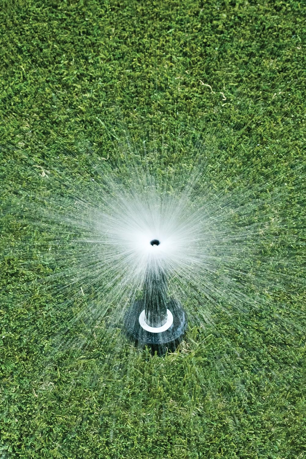 Rain Bird 1804DSF4PK Professional Dual Spray Pop-Up Sprinkler, 360&deg; Full Circle Pattern, 8' - 15' Spray Distance, 4" Pop-Up Height, 4-Pack image number 5