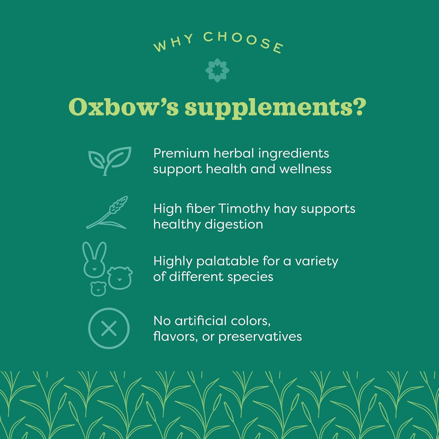 Oxbow Animal Health Natural Science Vitamin C Supplement, Vitamin C for Guinea Pig, Made with Oxbow Timothy Hay, Pet Supplements for Guinea Pigs, Veterinarian Formula, Made in USA, 120G