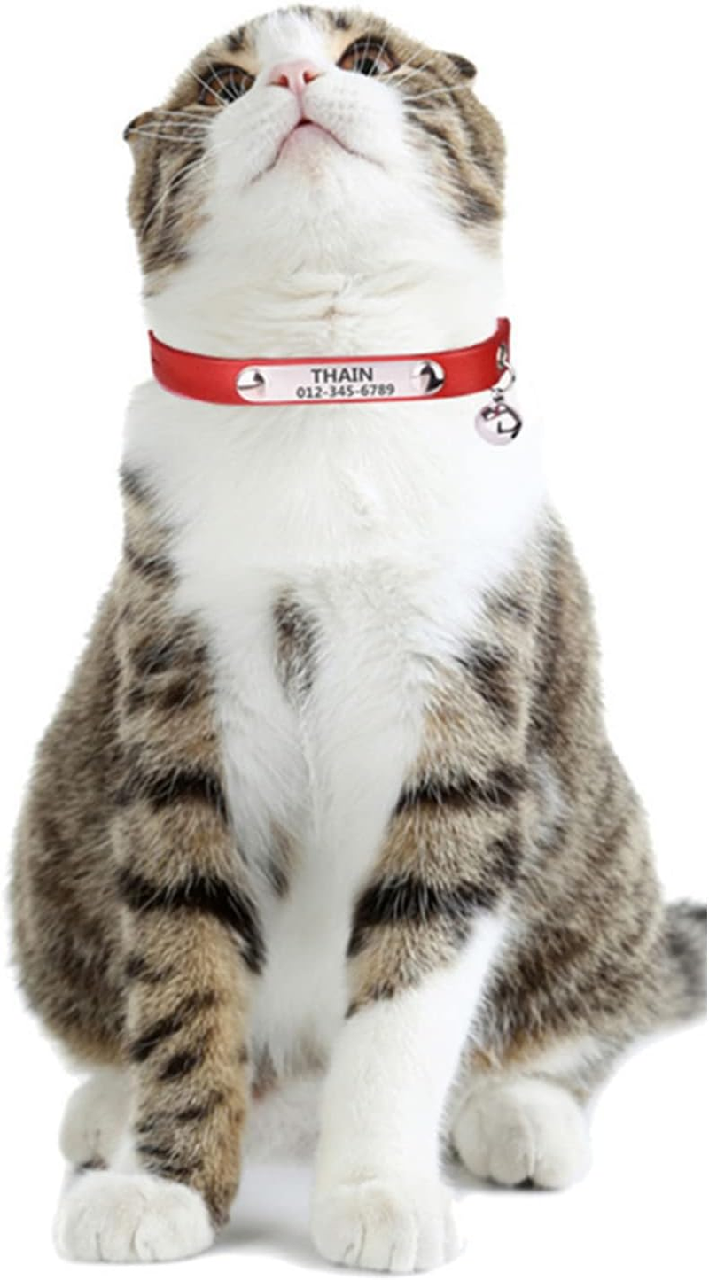 THAIN Cat/Kitten Collar Personalized Genuine Leather with Bell,Custom Nameplate 2Pack (Xs(Neck 6.3-8.6"), Orange+Red) image number 1