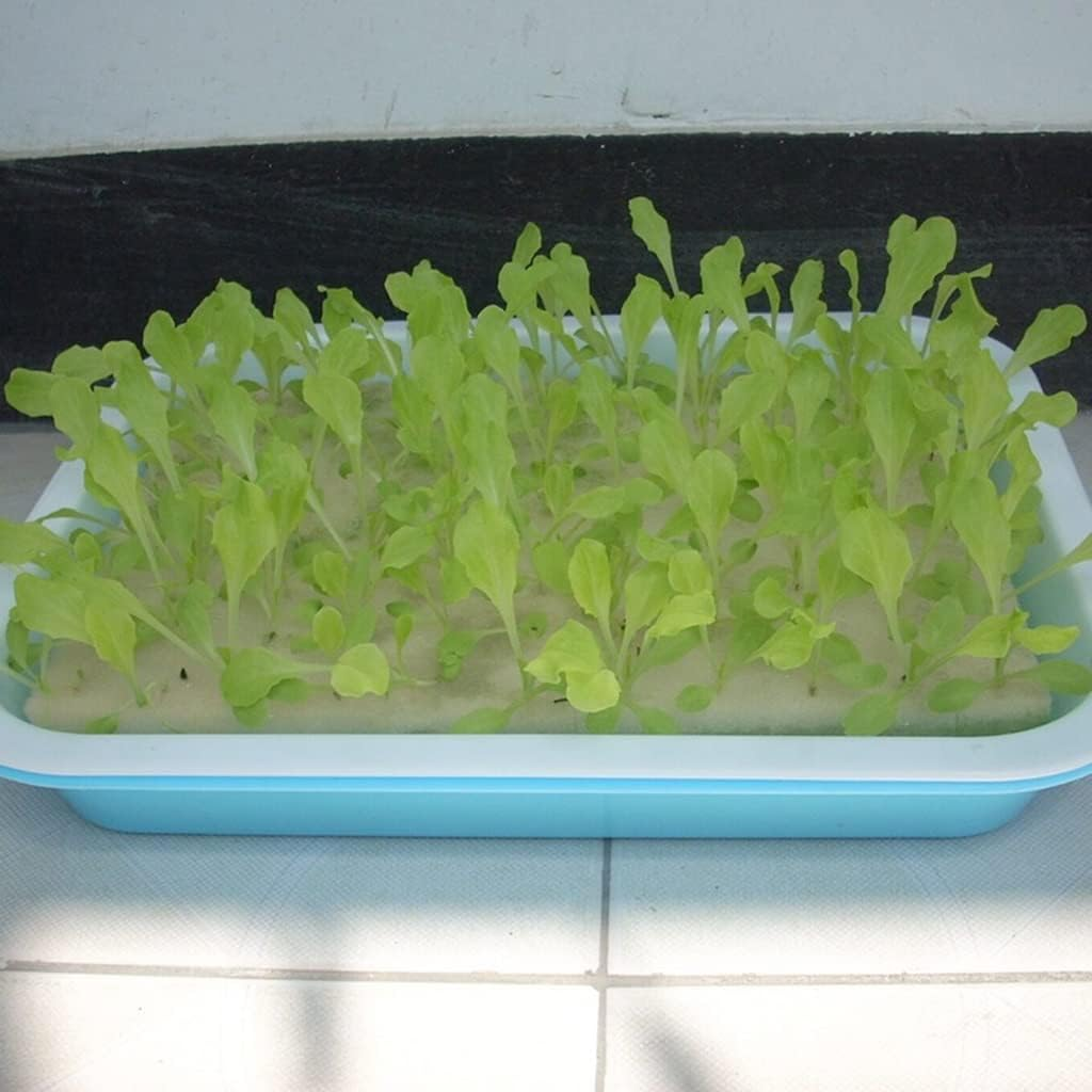 300Mm&times;200Mm Nursery Sponge Gardening Hydroponics Sponge Vegetables Hydroponics Sponge, for Garden Supplies 1Board (Color : Black)