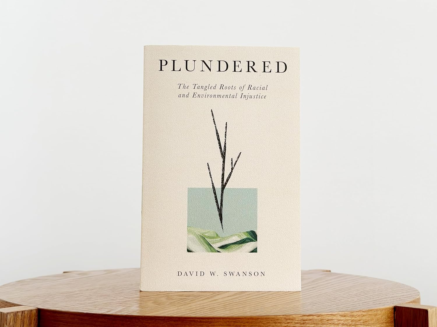 Plundered: the Tangled Roots of Racial and Environmental Injustice image number 1
