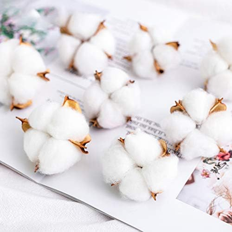 Tegg Cotton Boll 20PCS Natural White Cotton Balls Dried Cotton Pods for Crafting Farmhouse Style image number 2