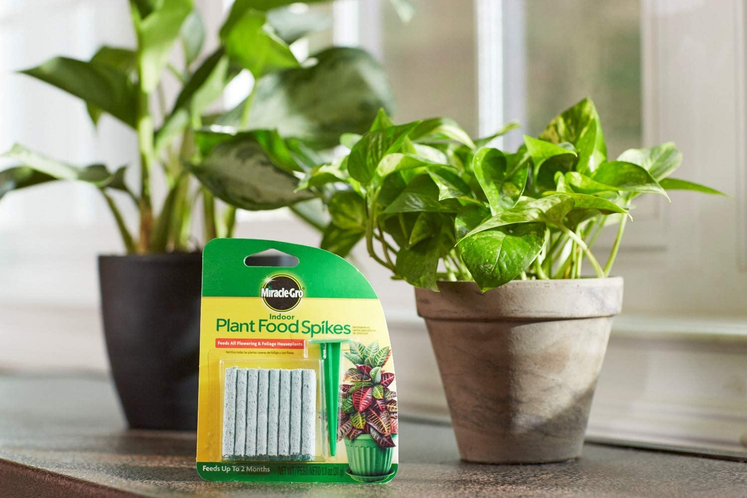 Miracle-Gro Indoor Plant Food Spikes, Includes 24 Spikes - Continuous Feeding for All Flowering and Foliage Houseplants - NPK 6-12-6 image number 4