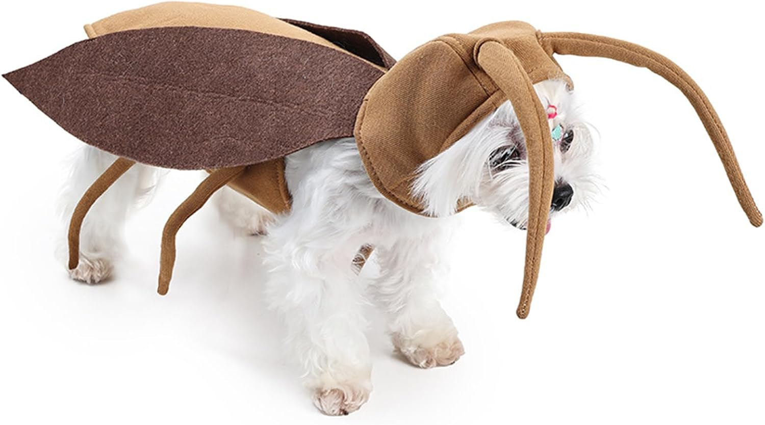Shurung Halloween Puppy Cat Costume Dog Cockroach Shaped Outfits Pet Festival Cosplay Clothing for Small Dogs Cats