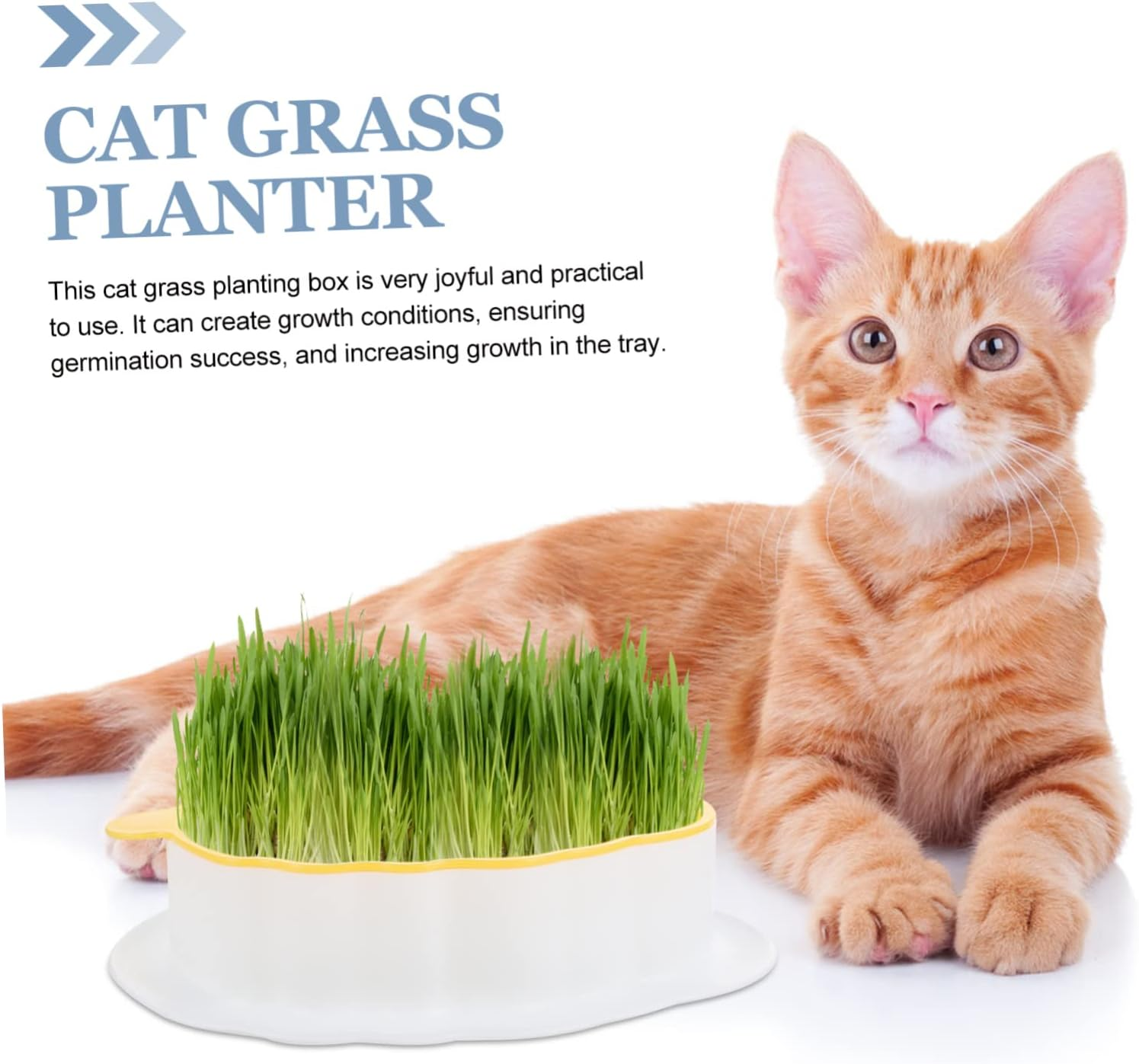 Ipetboom 3Pcs Catnip Soilless Planting Box for Household Cats Convenient Hydroponic Cat Grass Box for Indoor Gardening Supplies image number 3