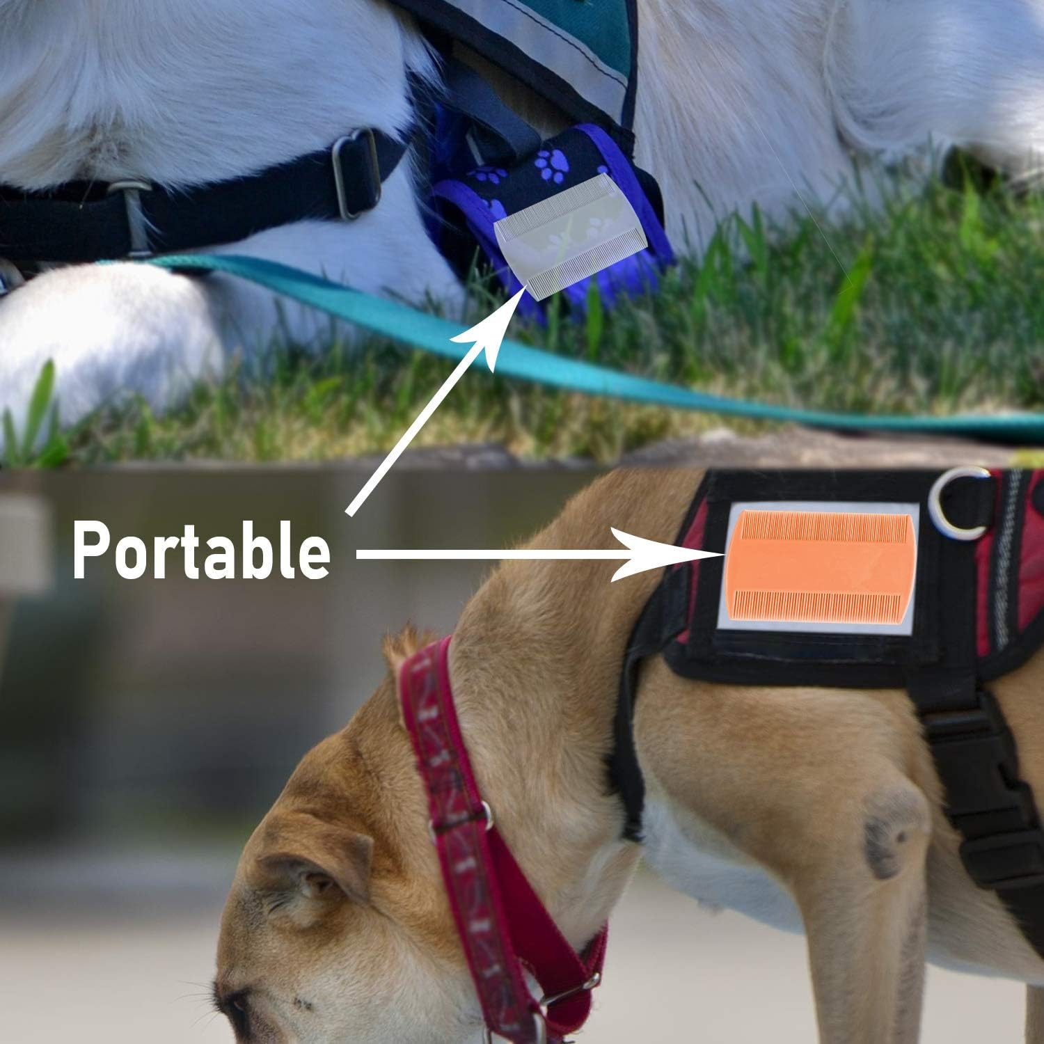 Flea Comb for Cats, 4 Pcs Lice Comb for Dogs, Double Sided Cat Comb for Short Hair of Pets or Humans by Mohern image number 4