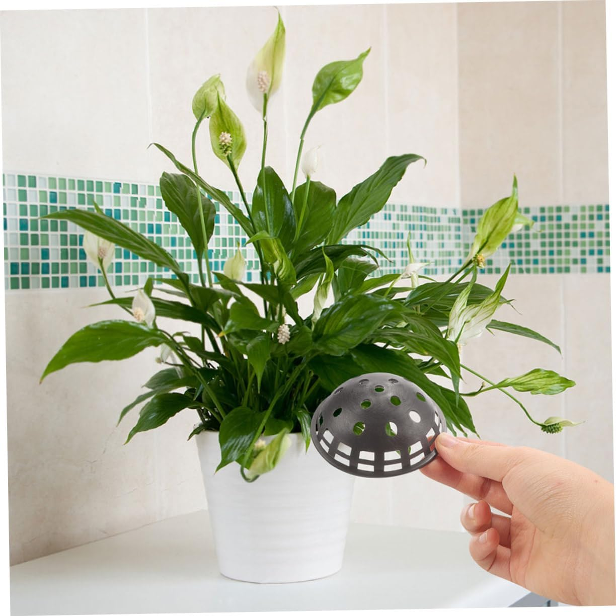 ANDRESLAD 12Pcs Plastic Mesh Pad Filters for Bonsai Pot Drainage Screens Flower Pot Hole Mesh Pads Planter Hole for Gardening Supplies image number 4