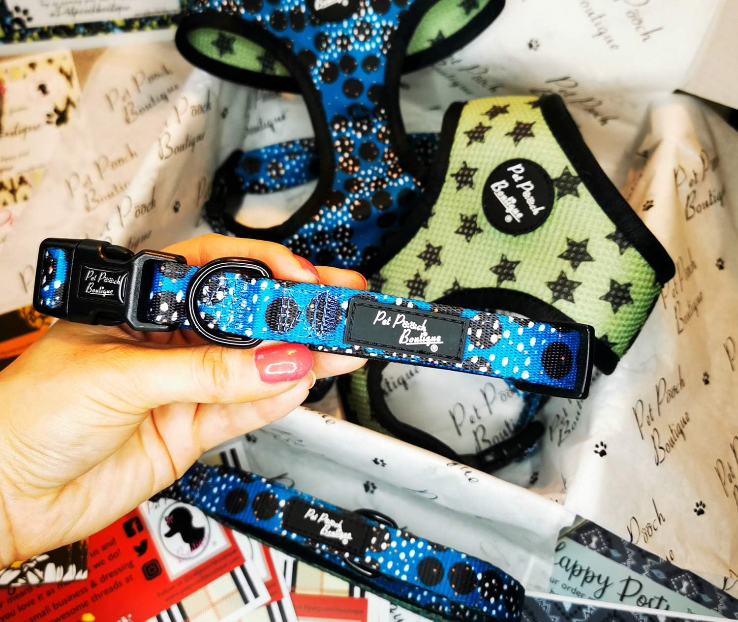 Pet Pooch Boutique Royal Rock Star Dog Collar, Medium, 0.3 Kg image number 1