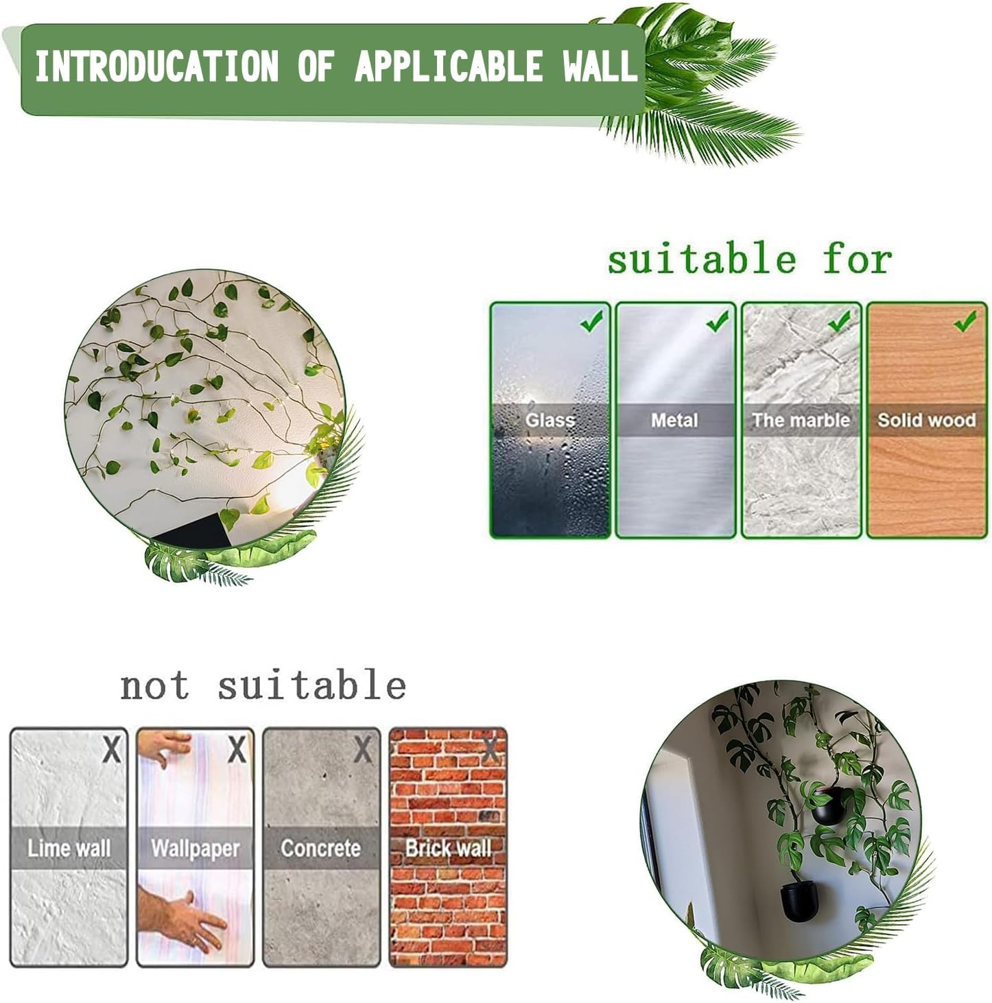 Tmofs 100Pcs Plant Climbing Wall Fixture Clips,Plant Fixer Invisible Wall Vines Fixing Clips Self-Adhesive Clips Plant Vine Traction for Indoor Outdoor Decoration and Cable Wire Fixing (White) - White image number 3