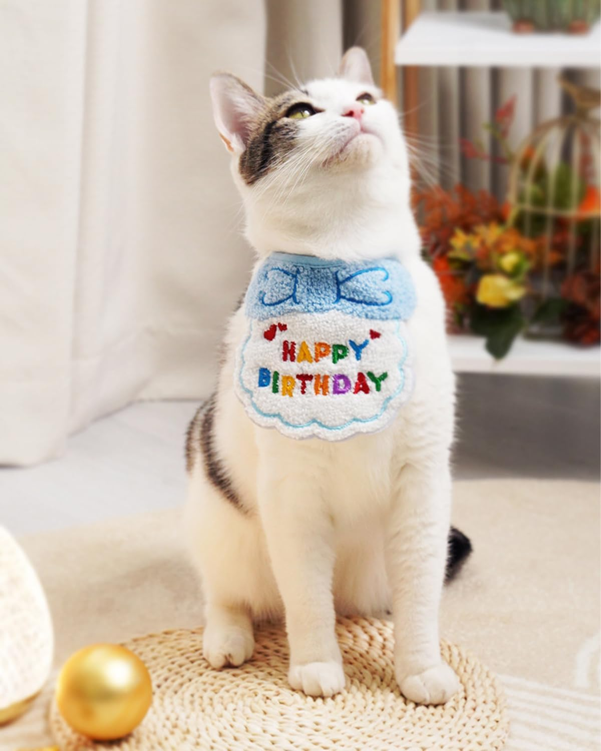 Zeayebsr 2 Pieces Cat Dog Birthday, Cute Birthday Bandana Set for Small Dog, Pet Happy Birthday Decorations for Girls Boys Kittens Birthday Hat Decoration image number 3