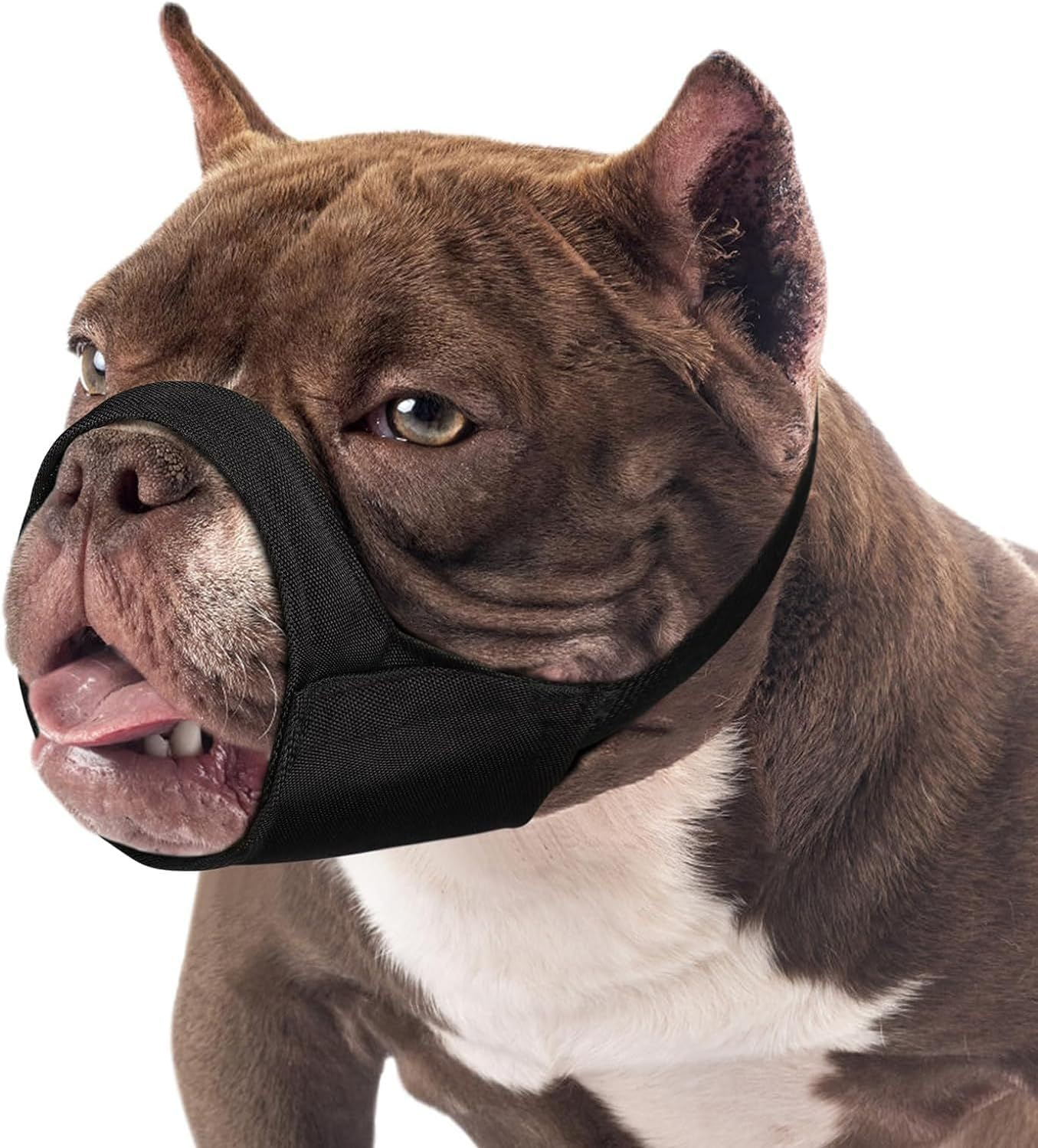 Short Snout Dog Muzzle, Small Muzzle for Chihuahua Shih Bully Boxer Puppy, Soft Fabric Muzzles for Grooming Vet Visits, Prevent Biting Chewing Fighting (Black, XXL) image number 1