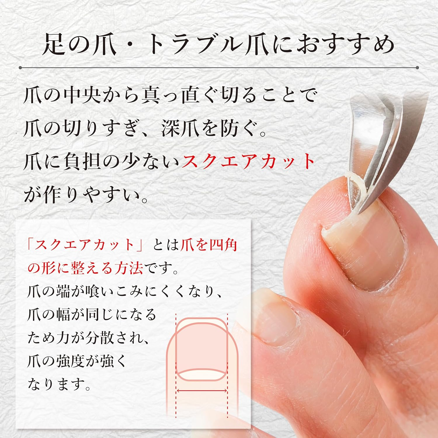 Stainless Steel Nipper Nail Clippers for Winding Nails image number 2