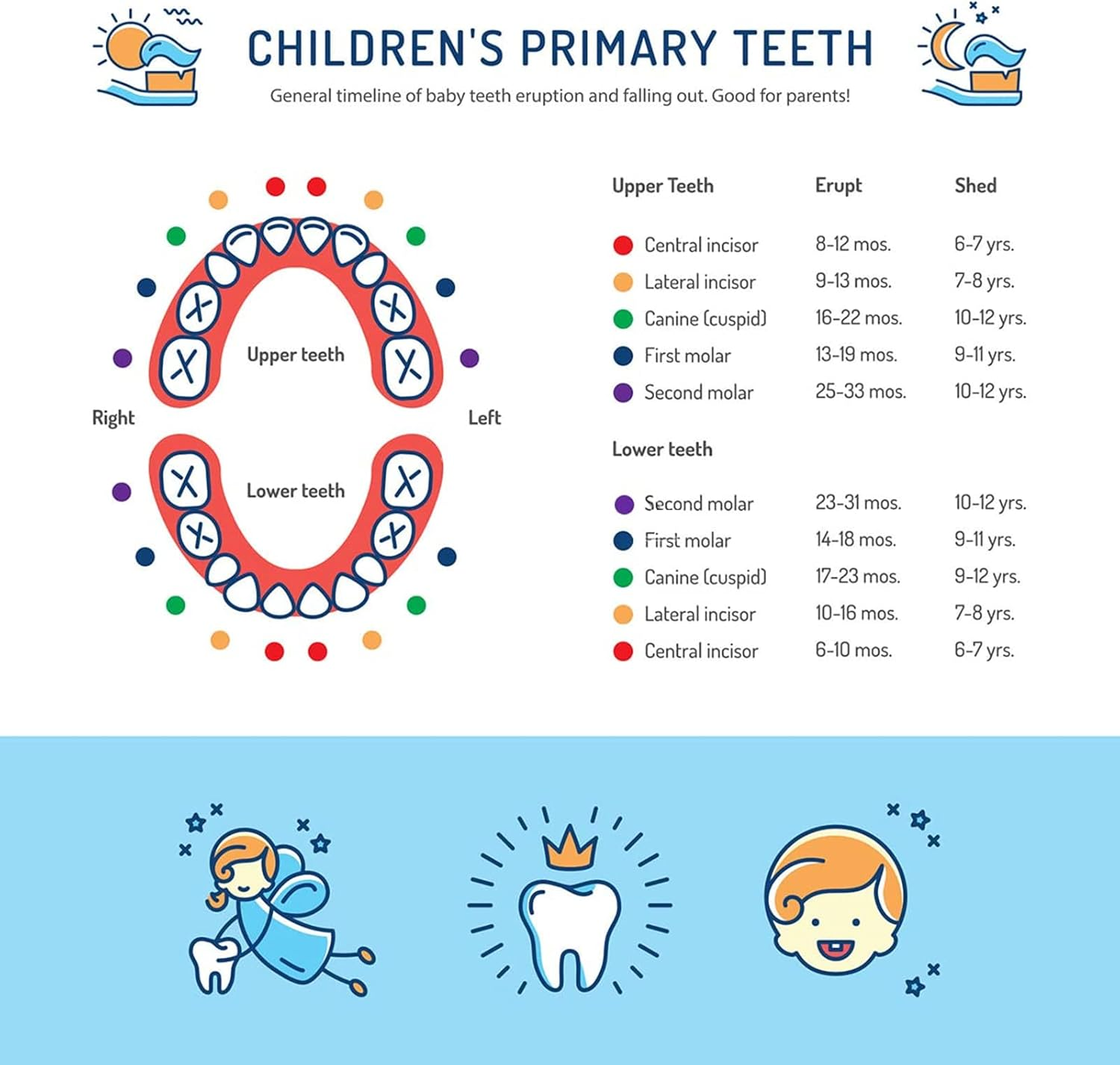 Baby Teeth Keepsake Box - Kids Teeth Holder with Fetal Hair Container and Tweezer (Pink) image number 4