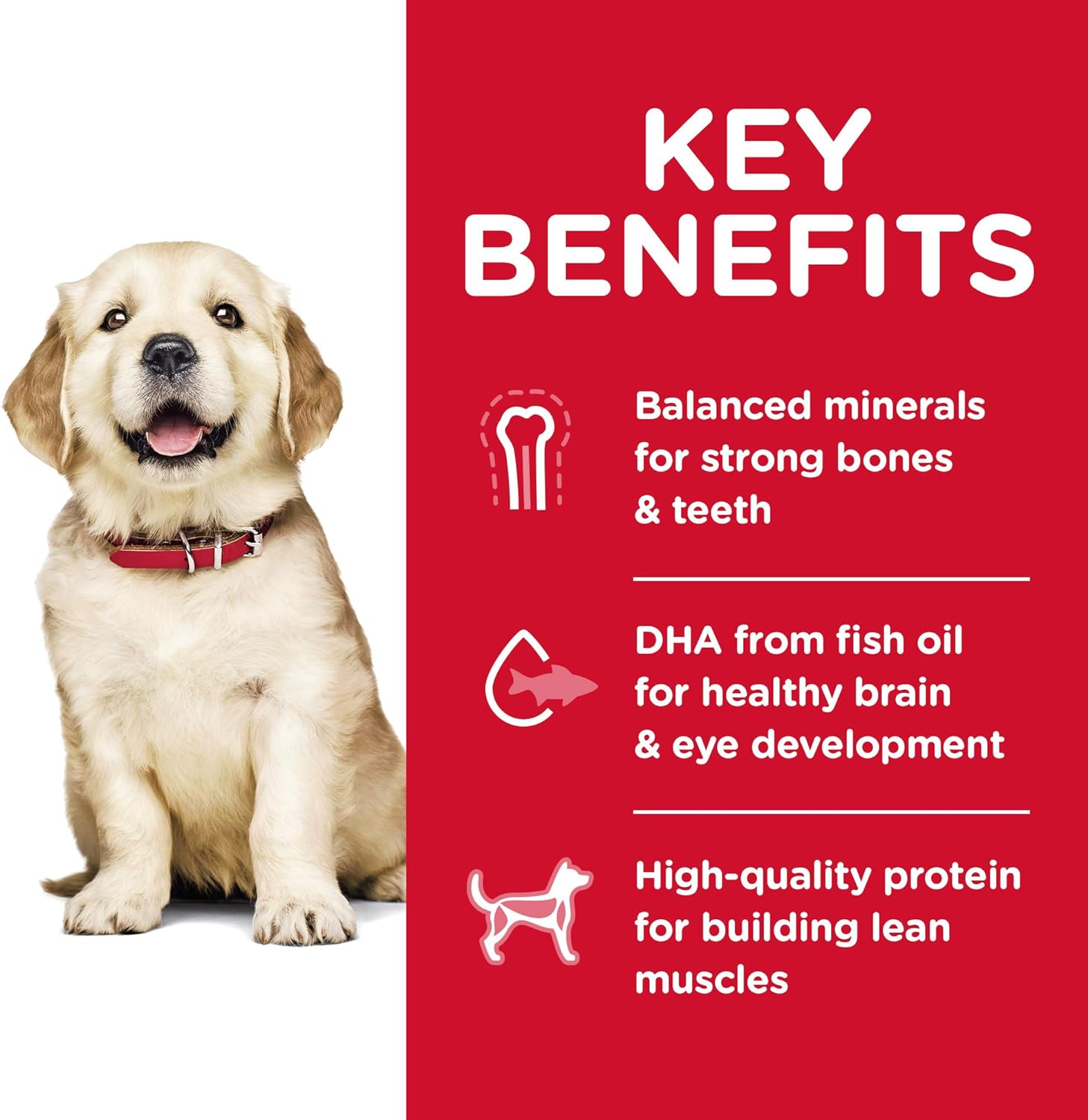 Hill'S Science Diet Puppy Large Breed Dry Dog Food 12Kg image number 2