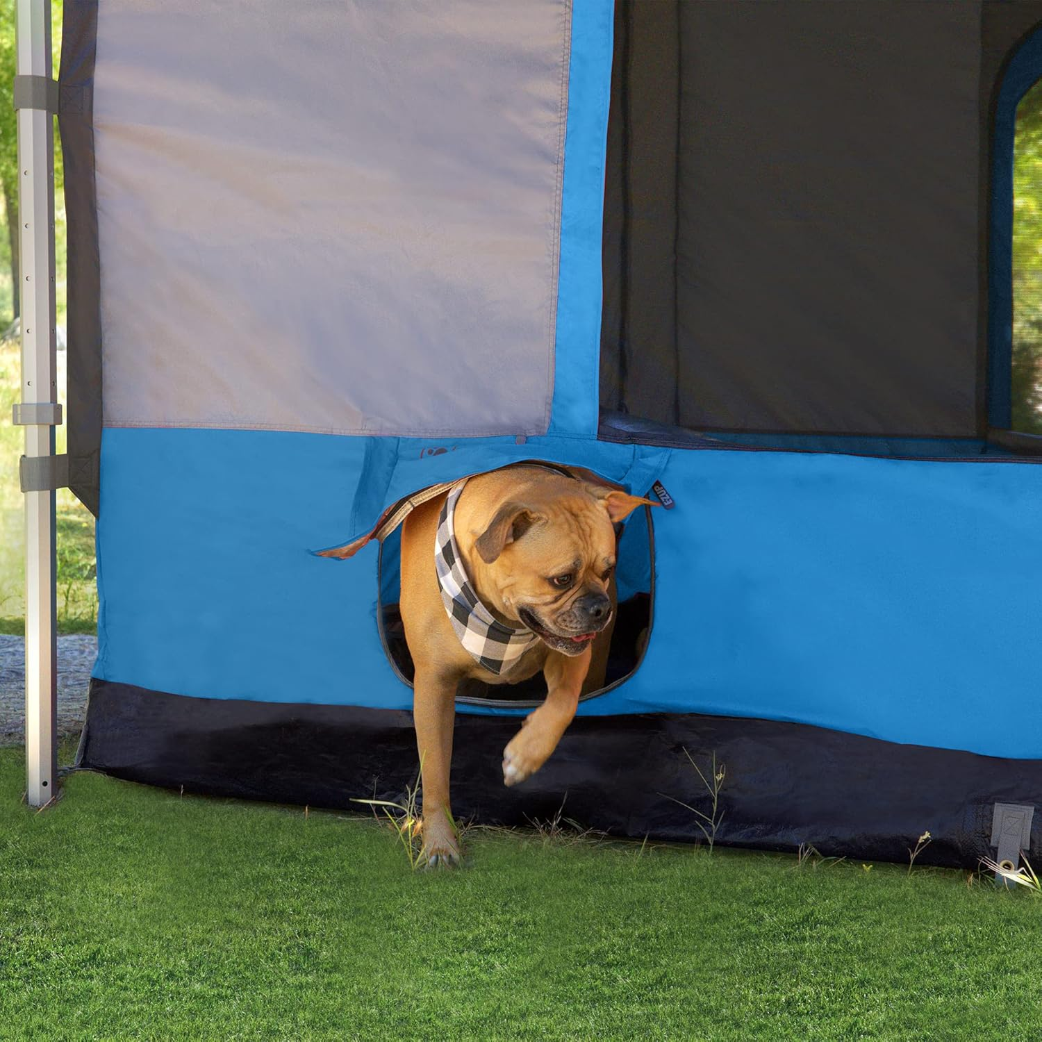 E-Z up Camping Cube 6.4, Converts 10' Straight Leg Canopy into Camping Tent, Royal Blue - Splash image number 7