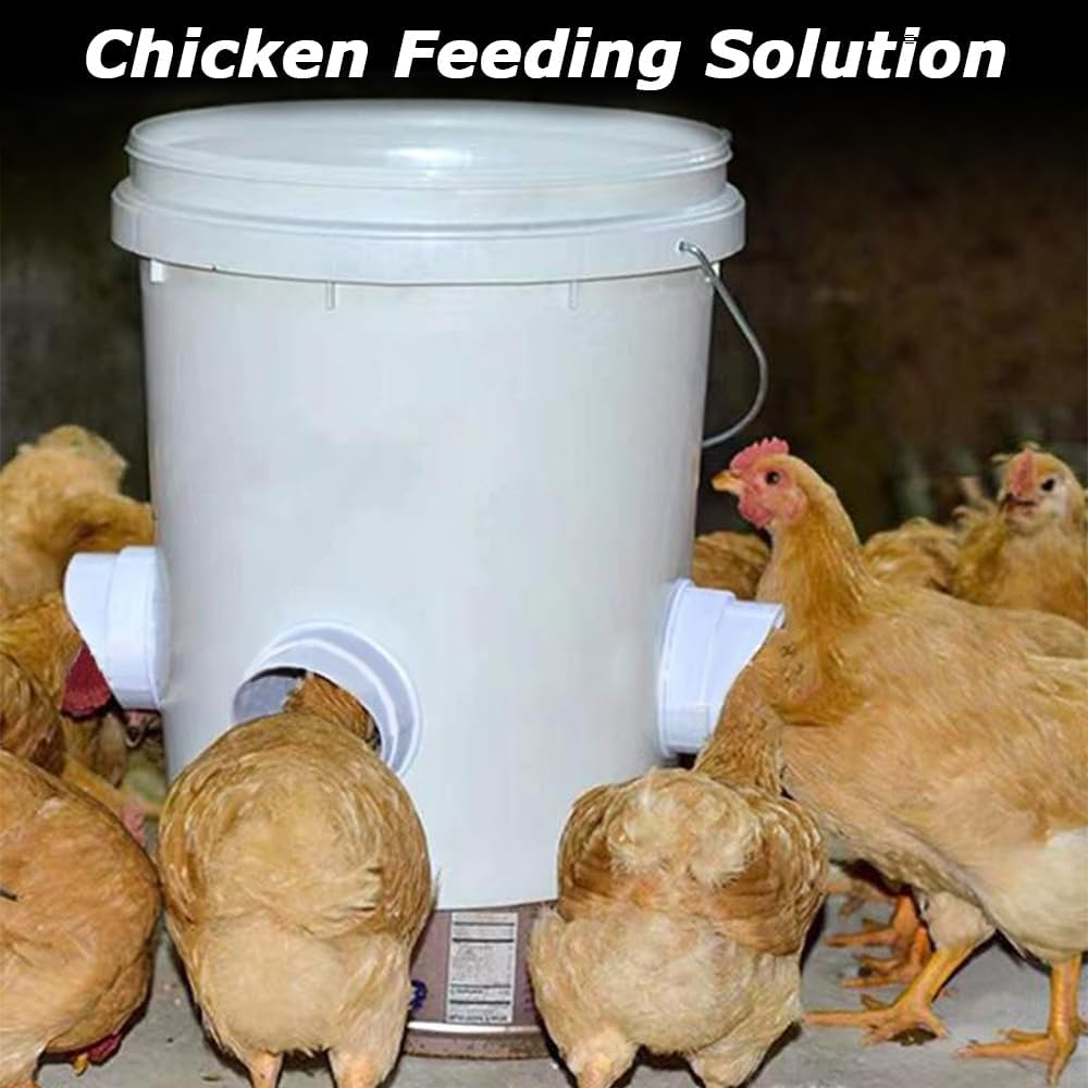 MOTRAIN Chicken Feeder Kit, No Waste Waterproof Automatic Chicken Feeder, Poultry Feeder 4 Ports 1 Hole for Chickens, Duck, Geese, Birds, Quail image number 6