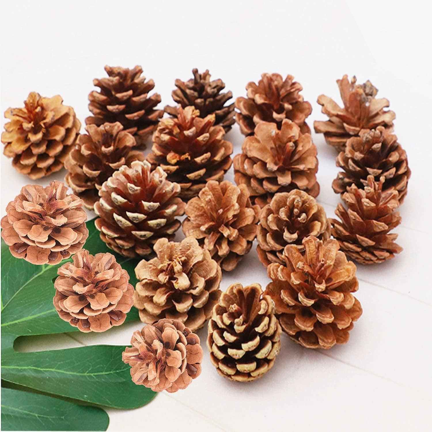 Christmas Bulk Package of Natural Pinecones for Home Party Decorations-25 Pack (1)