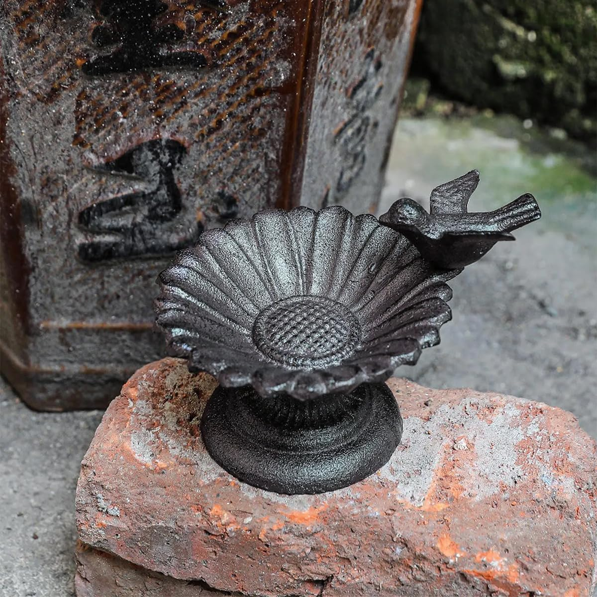 AIMALL European Style Cast Iron Bird Feeder Retro Petal Basin Decorative Dish for Balcony Garden Indoor Tabletop Living Room Home Ornaments as Shown 5.11In X 4.72In image number 1