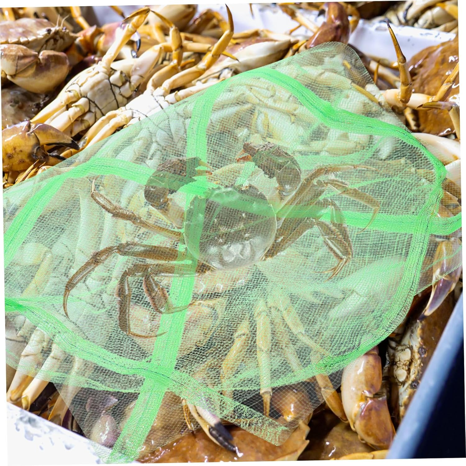 UKCOCO 10Pcs Portable Crab Catching Net Bags Lightweight Breathable Drawstring Mesh for Outdoor Fishing Storage