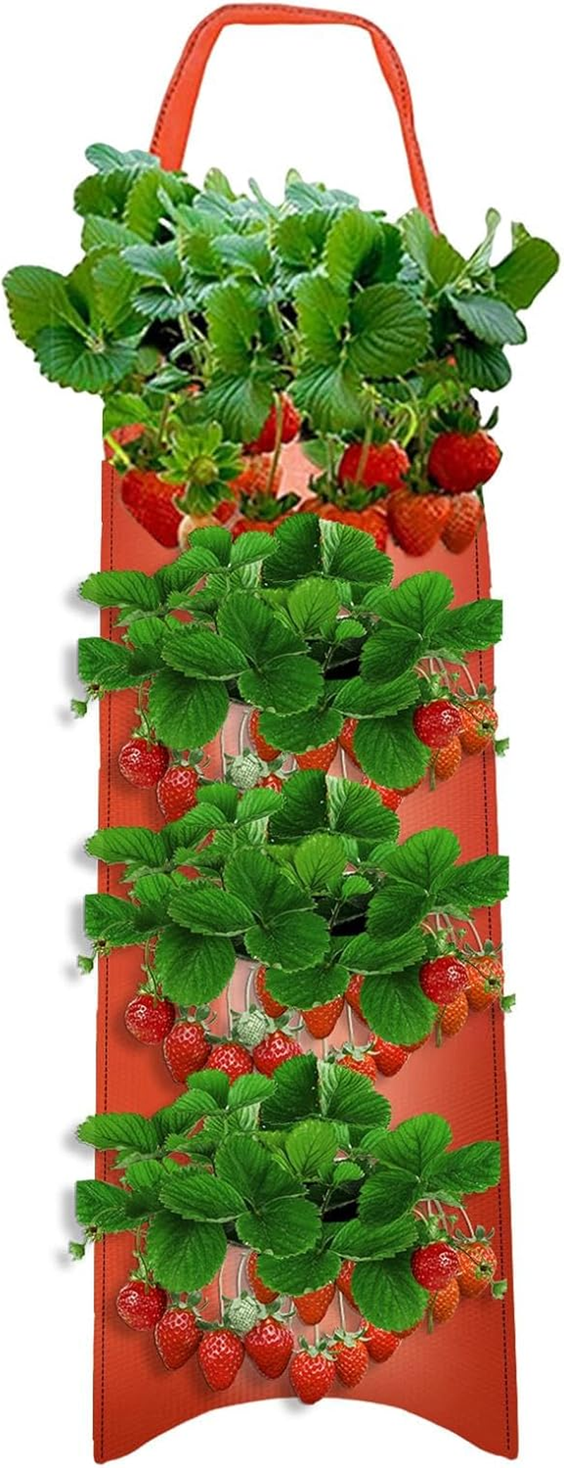 Tomato Planter Bag | Floating Fabric Aeration Pouch with 8 Holes for Planting - Gardening Accessories for Tomatoes, Carrots, Roses, Strawberries, Vegetables image number 3