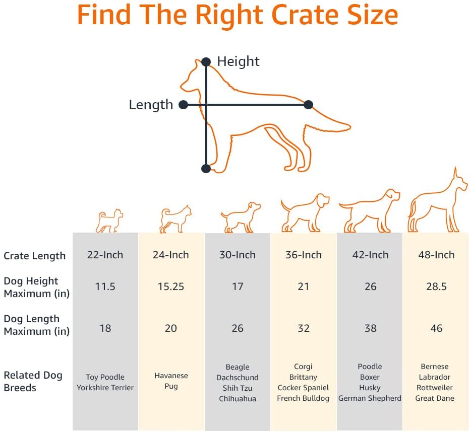 Amazon Basics Foldable Metal Wire Dog Crate with Tray, Double Door, 91Cm Length, Black image number 5