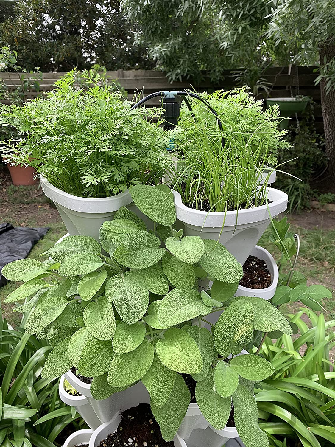 Large 5 Tier Vertical Garden Kit + Heavy Duty Plant Trolley + Hydroponic Grow Pack (Coco Coir & Perlite + Hydroponic Nutrient) image number 6