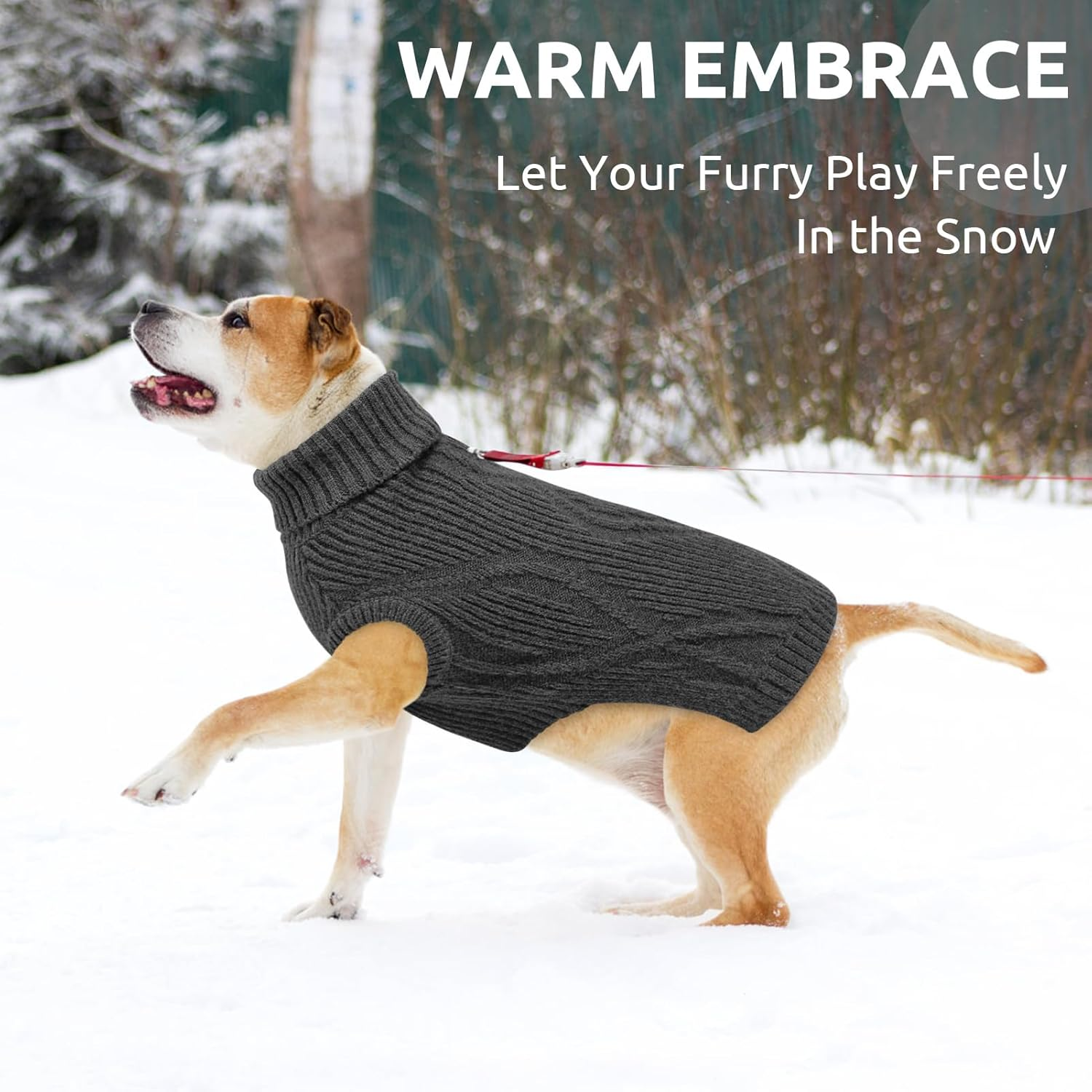 Queenmore Sweater for Small Dogs, Warm and Soft Turtleneck Dog Jumper for Maltese, Pomeranian, Poodle, Shih Tzu (Grey, S) image number 1