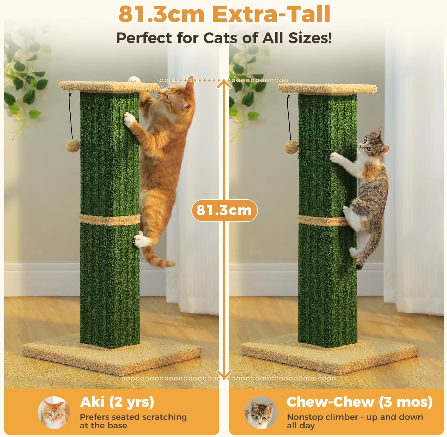 PAWZ Road 82Cm Cat Tree Ultimate Cat Scratching Post with Carpet Covered Scratcher and Pompom Ball Green image number 5