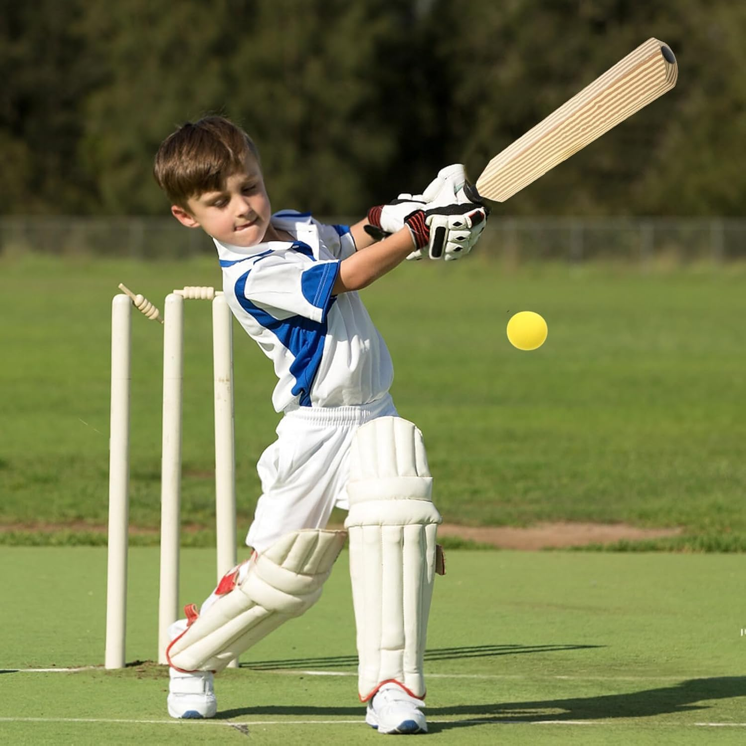 Cricket Bat Interactive Cricket Set Ball Cricket Bat Foam Padded Cricket Bat Indoor Balls for Home Beach Backyard (With Ball)